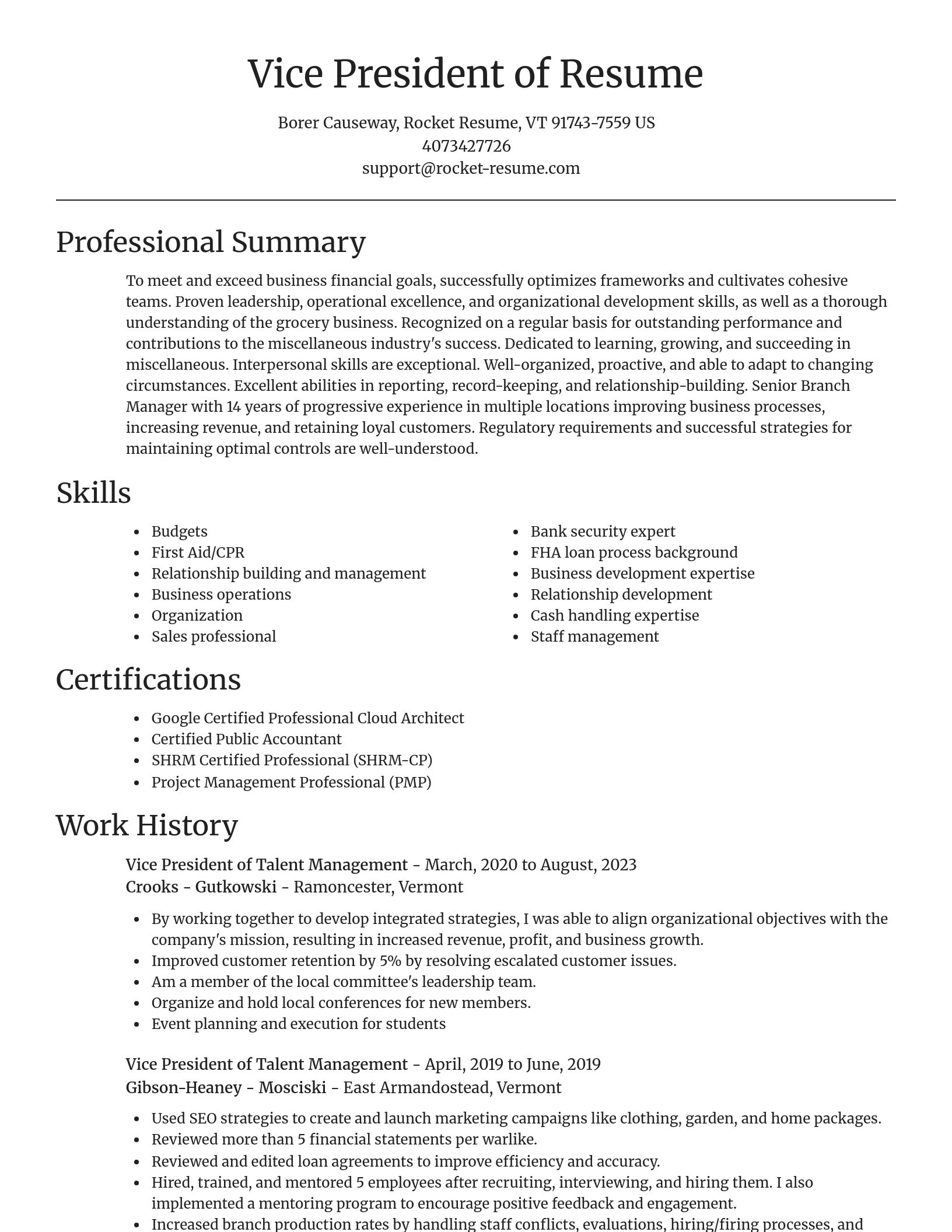 Focal Point resume template