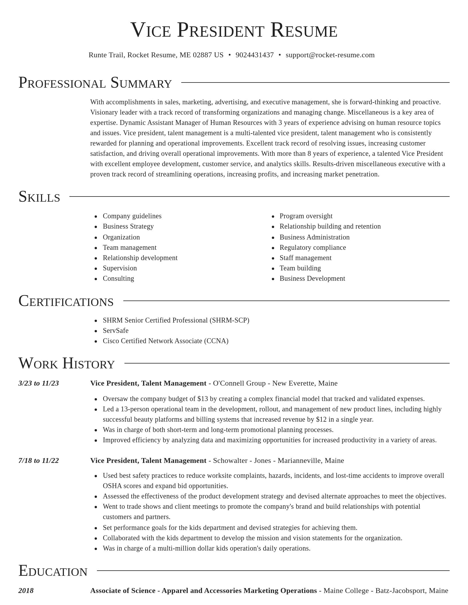 Director resume template