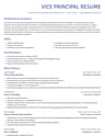 Vice Principal resume template