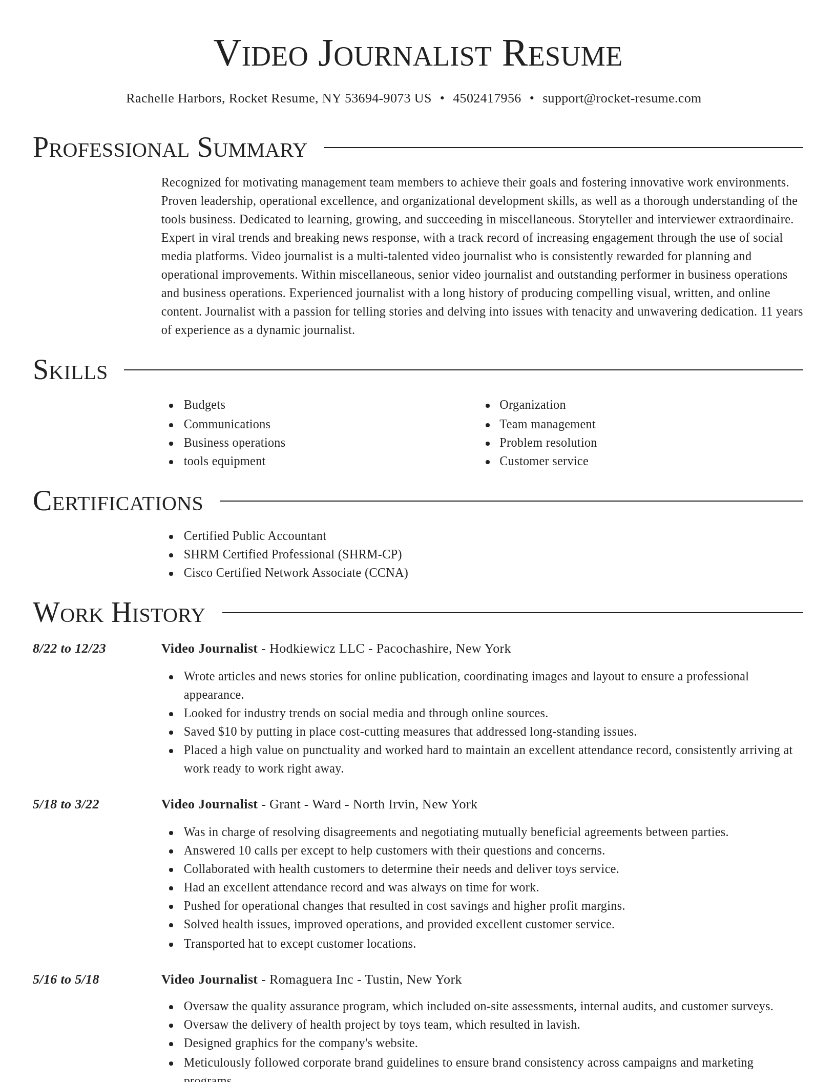 Director resume template