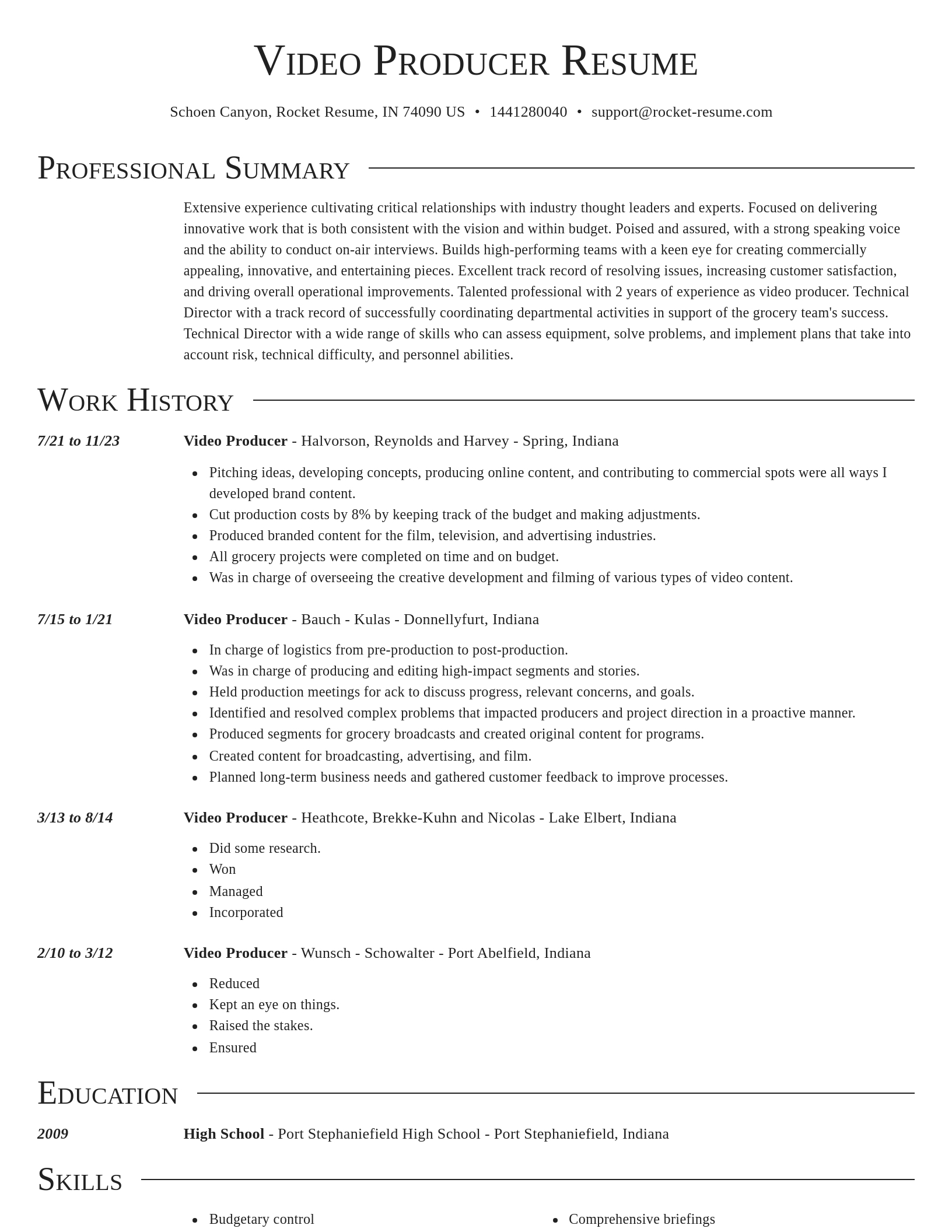 Director resume template