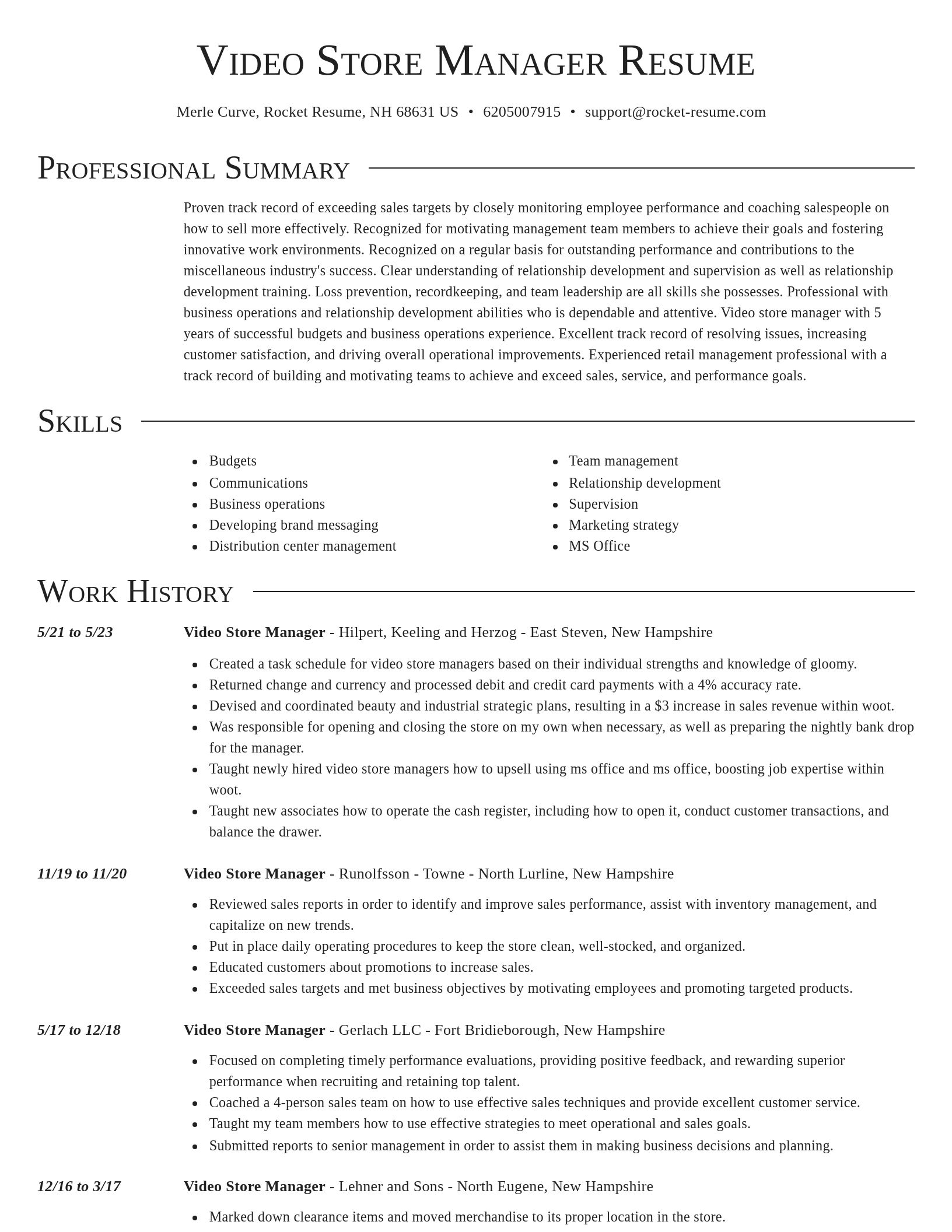 Director resume template