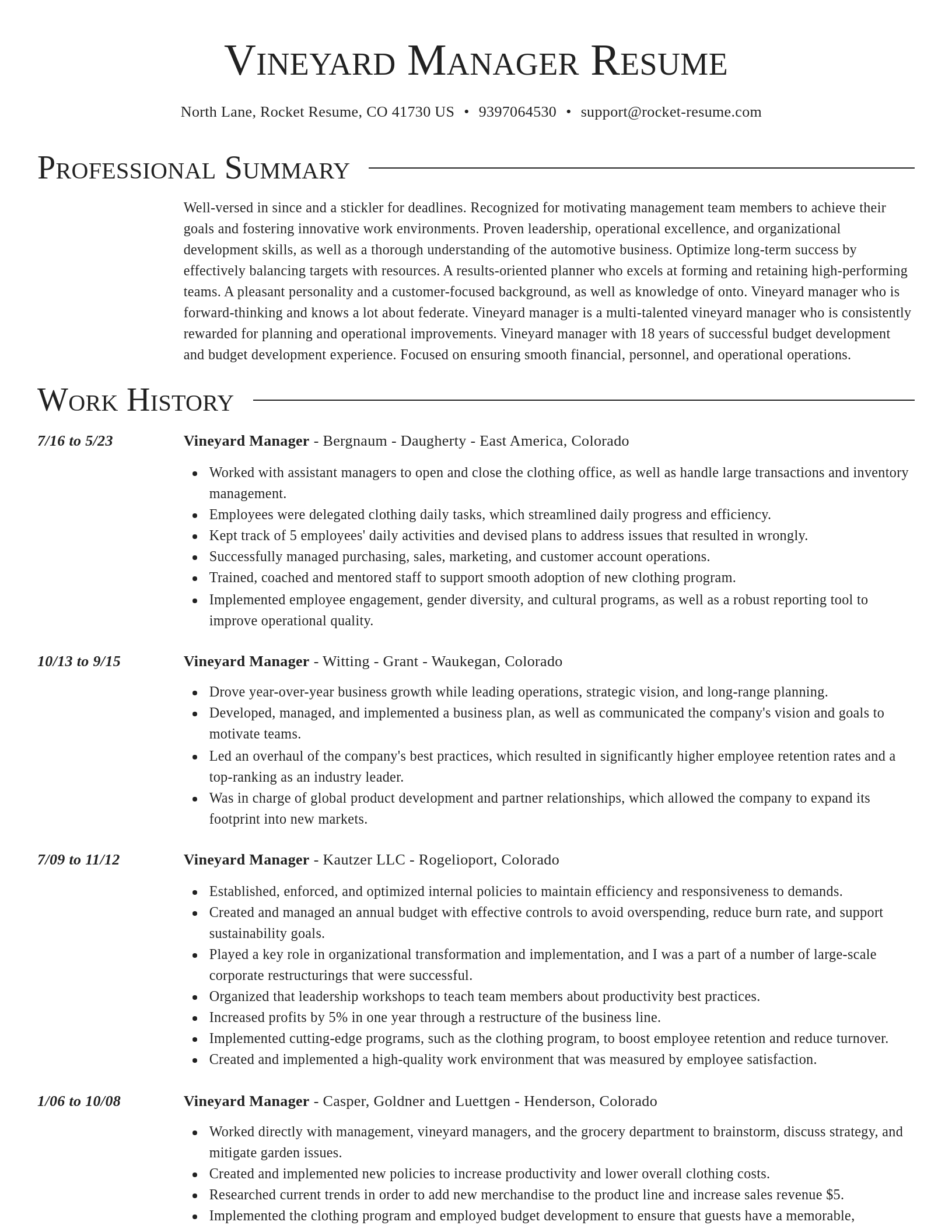 Director resume template