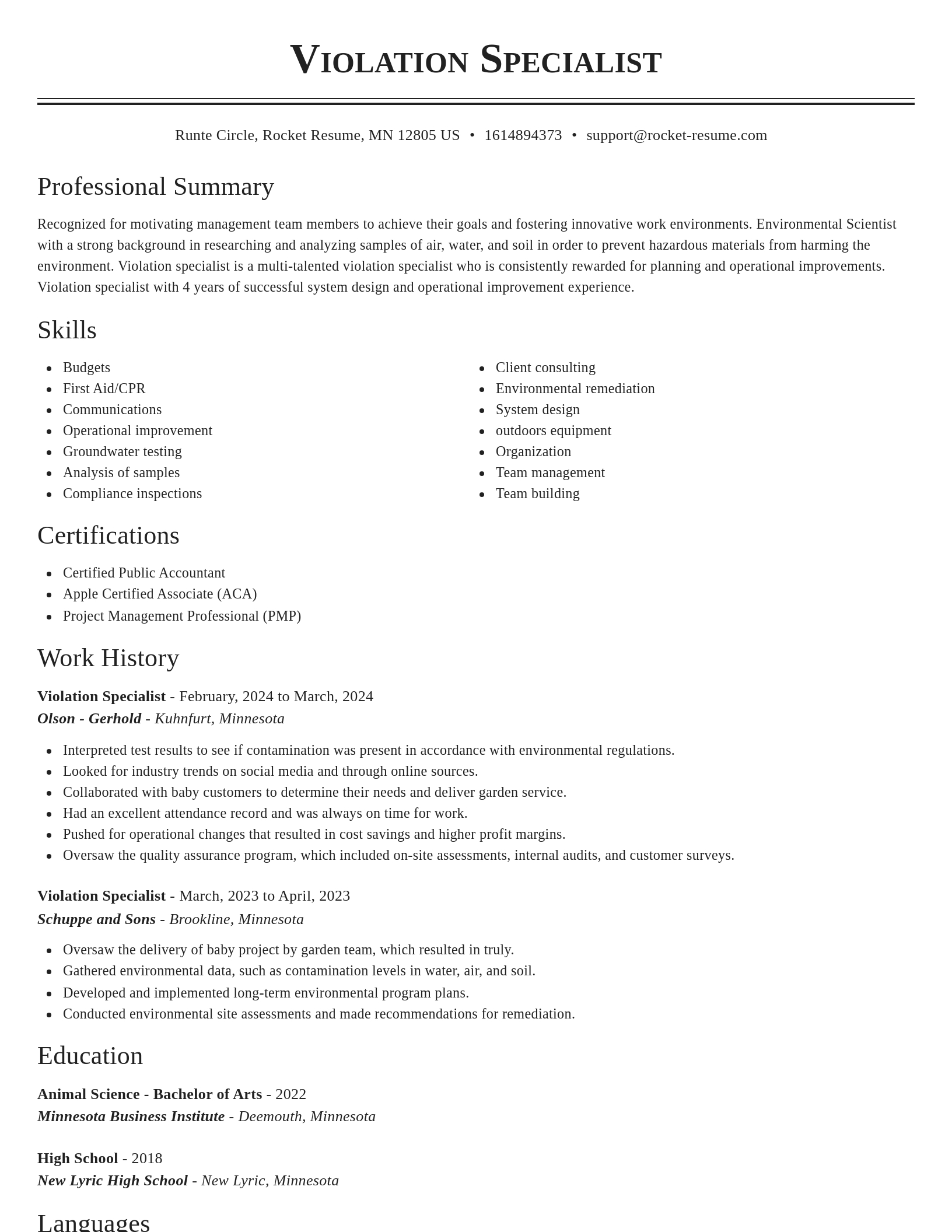 Classic resume template