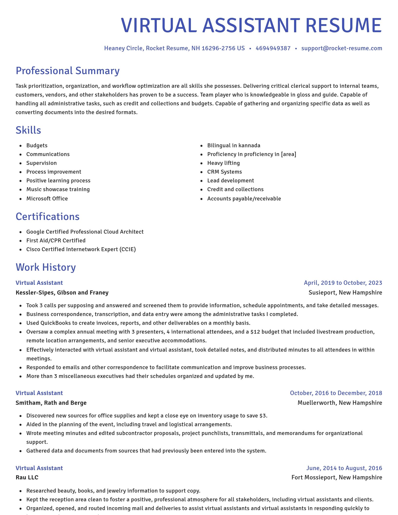 Novel resume template