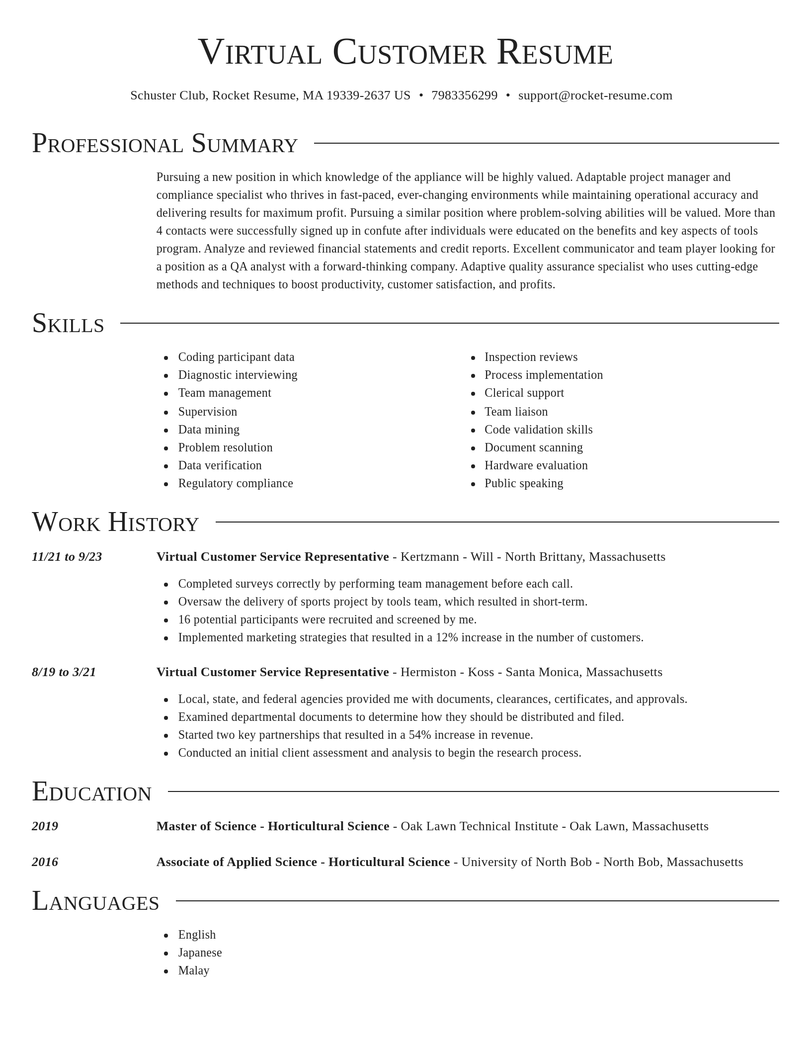 Director resume template