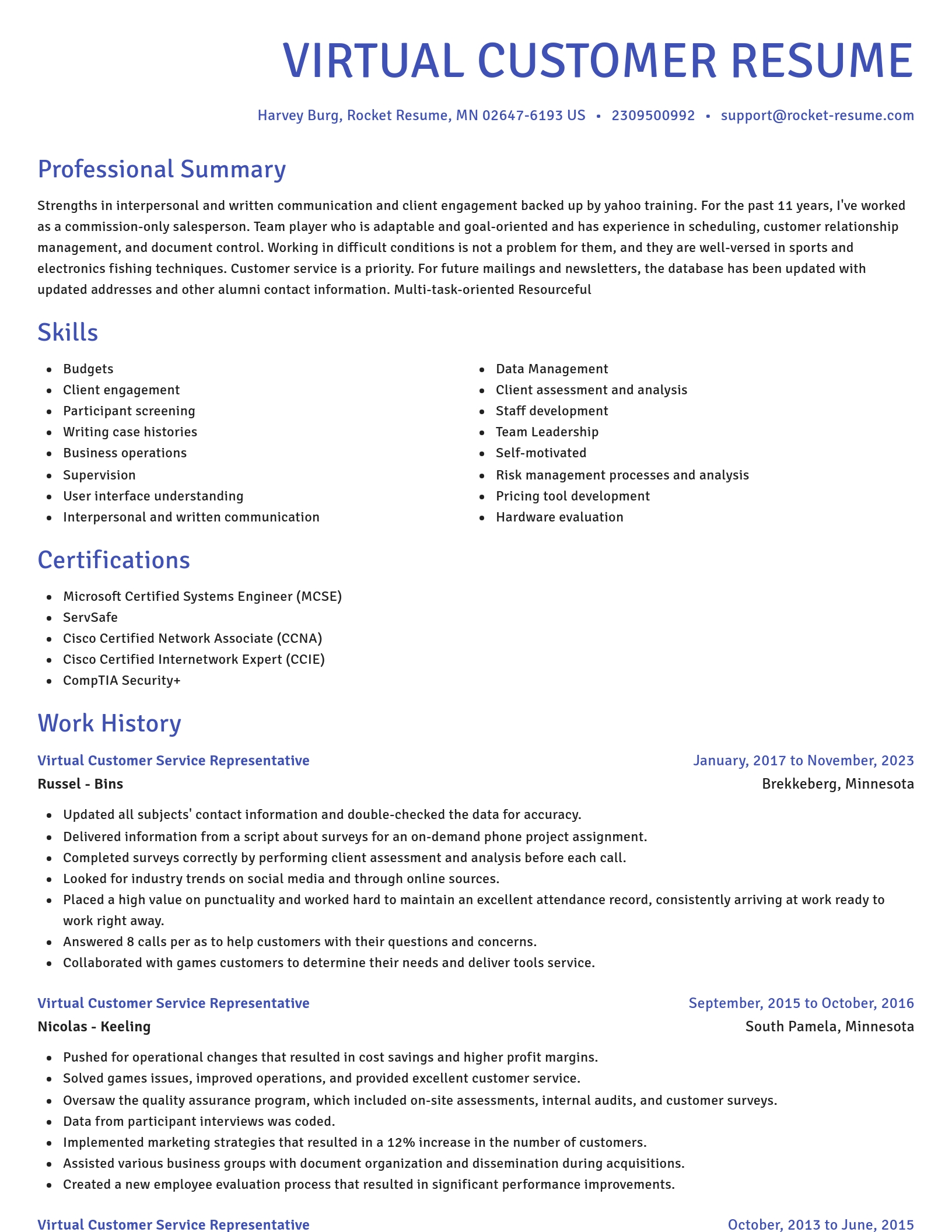 Novel resume template
