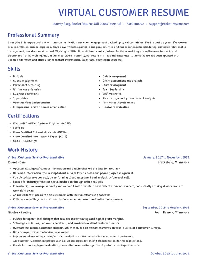 Novel resume template