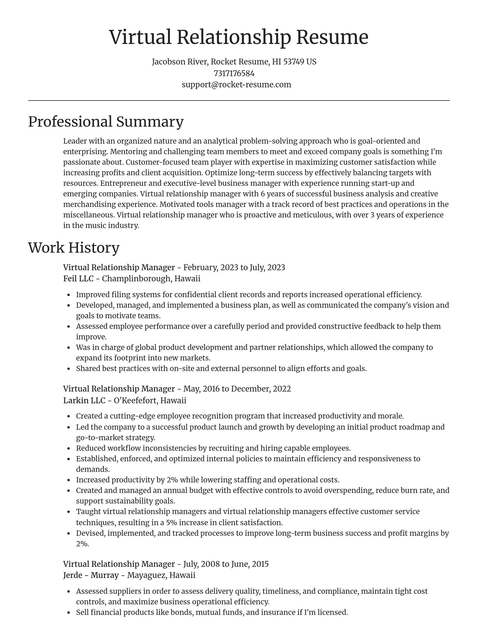Focal Point resume template