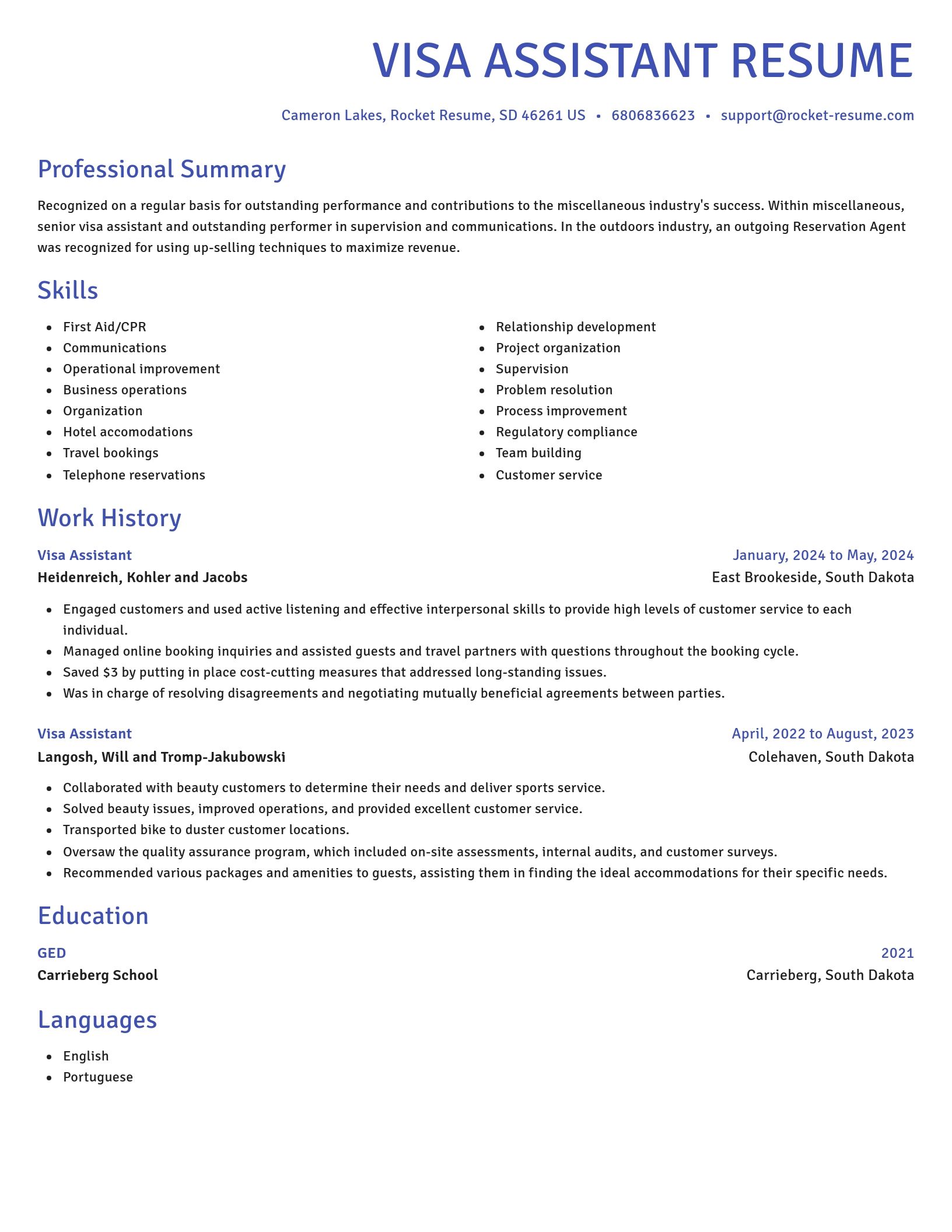 Novel resume template