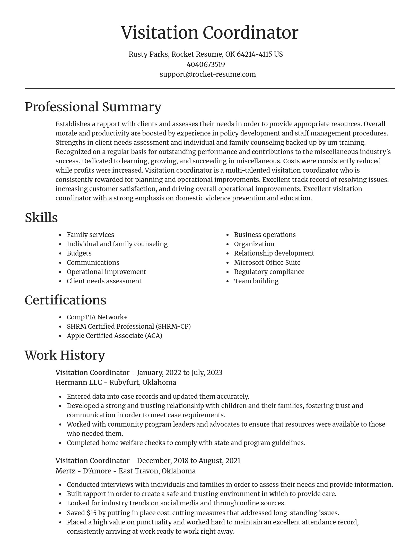 Focal Point resume template
