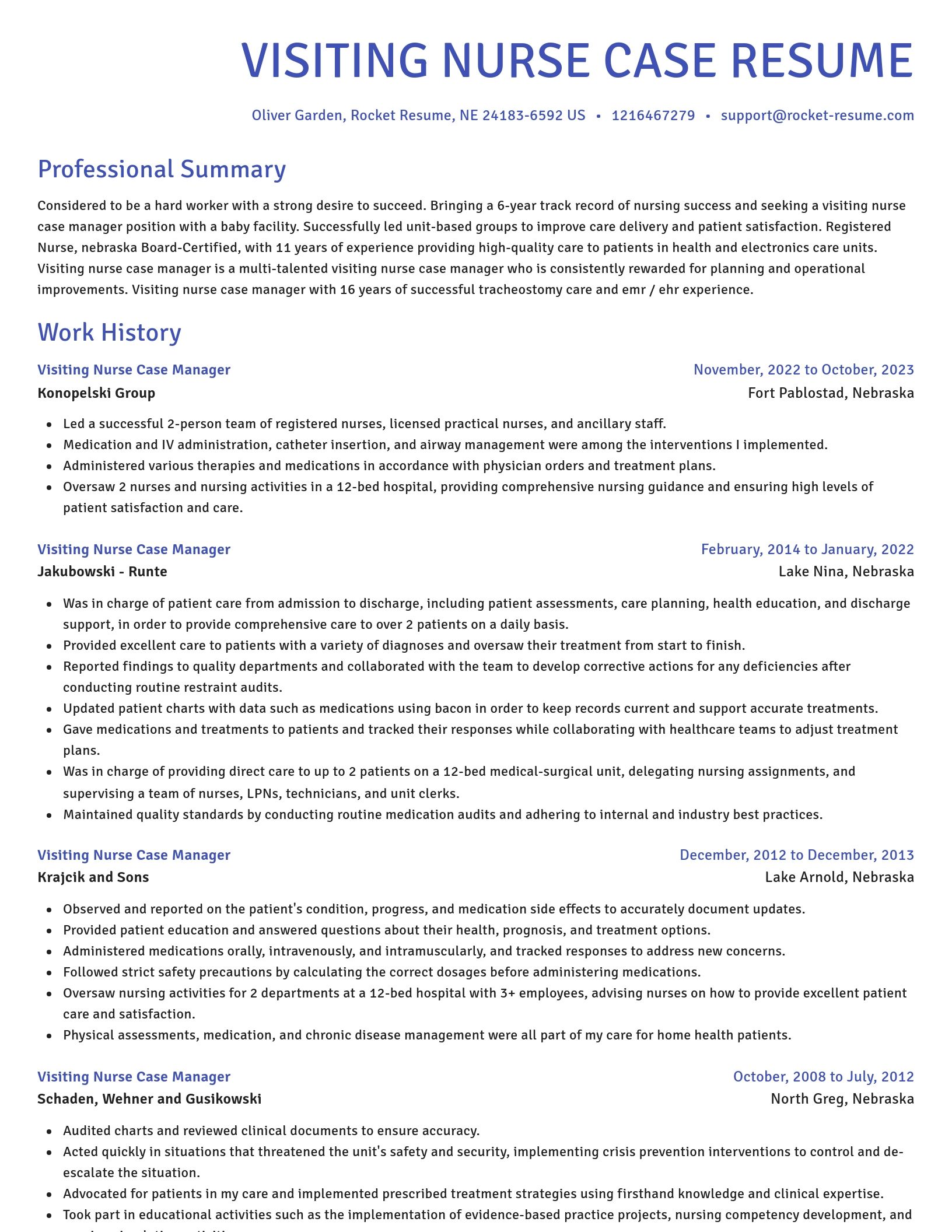 Novel resume template