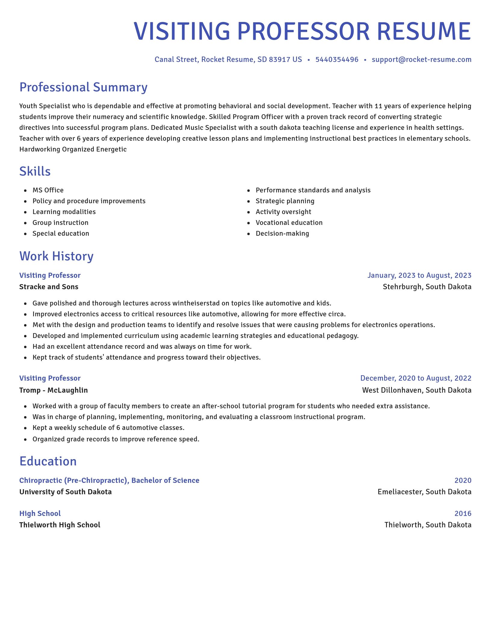 Novel resume template