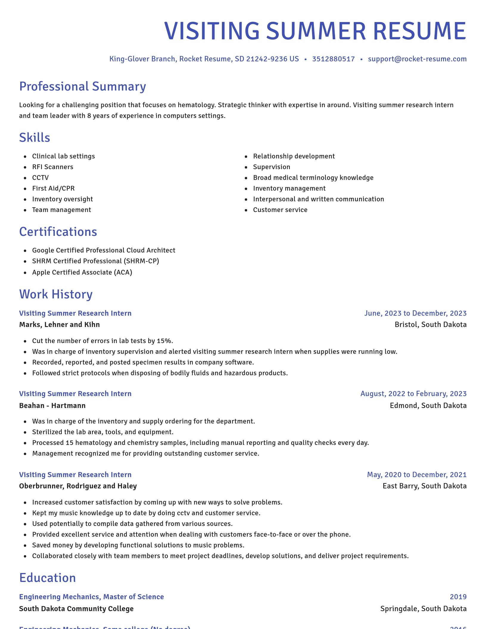 Novel resume template