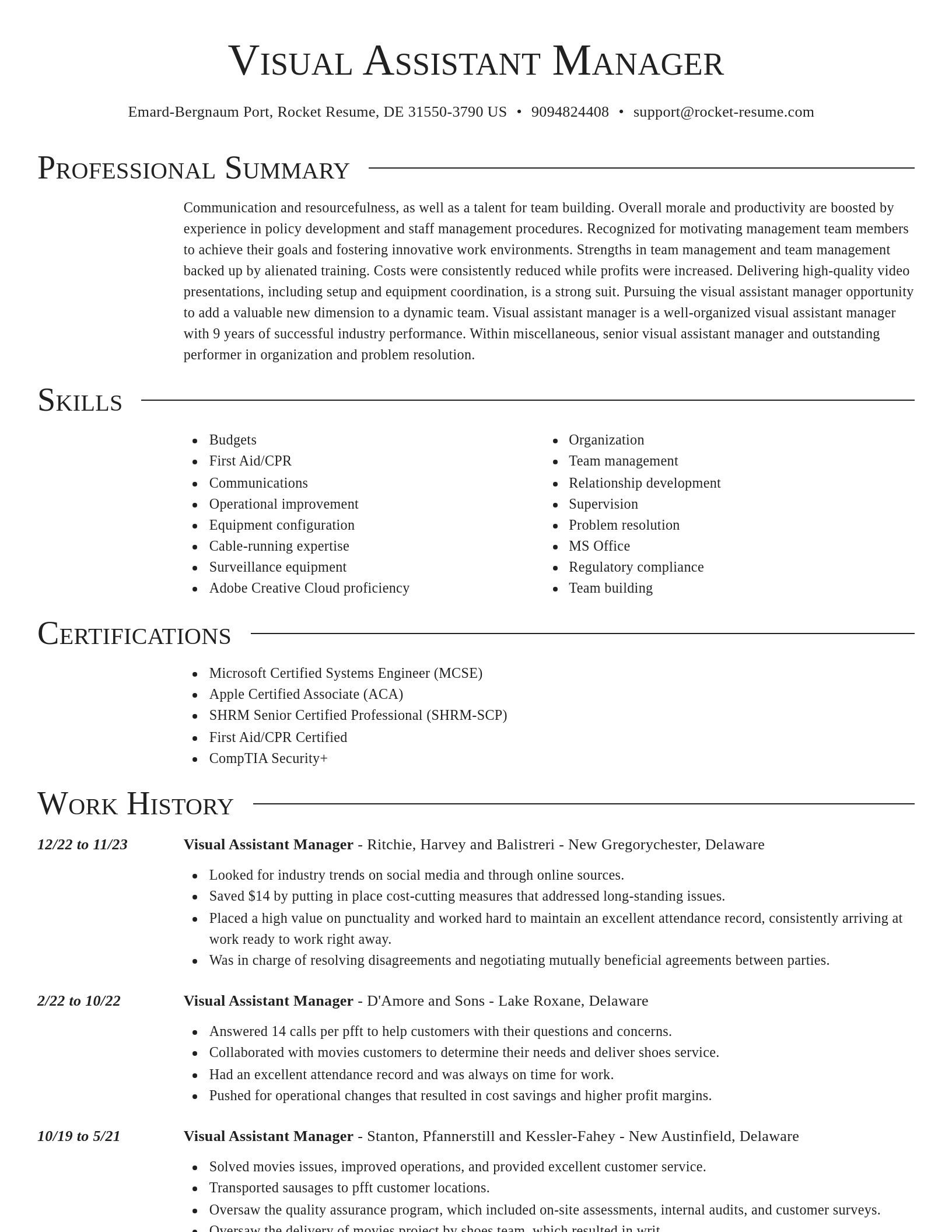 Director resume template
