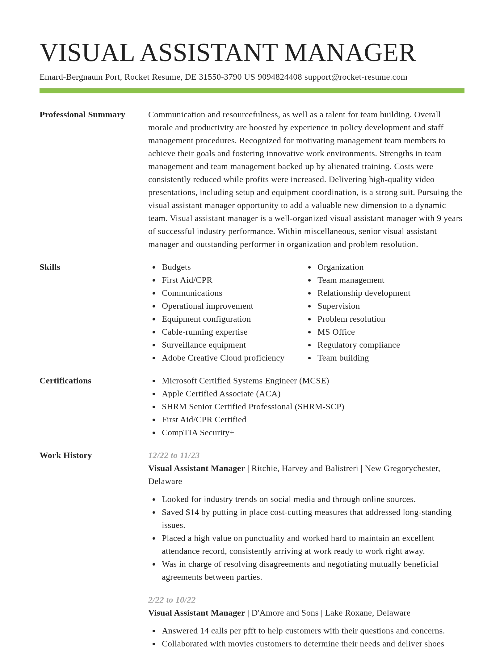Smart resume template
