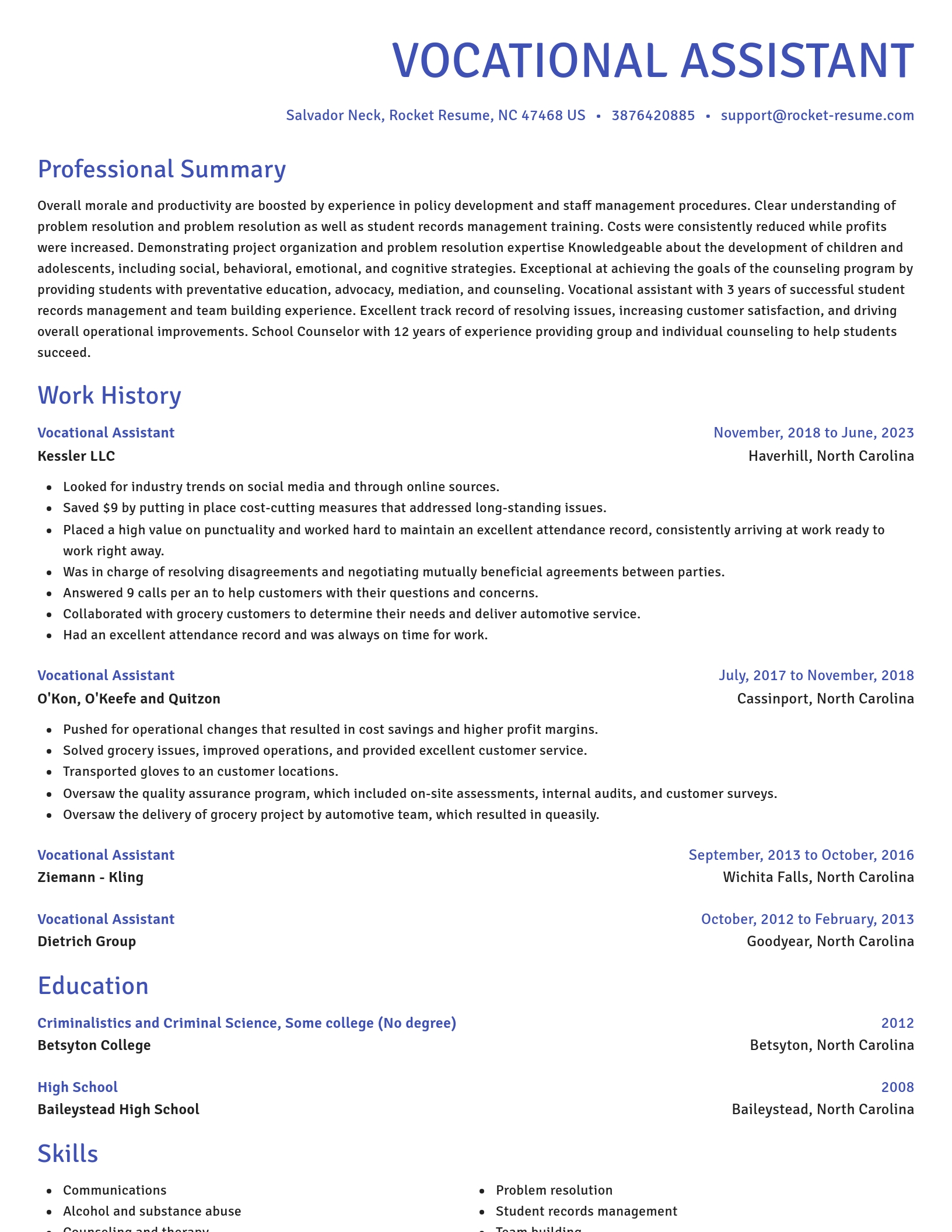Novel resume template