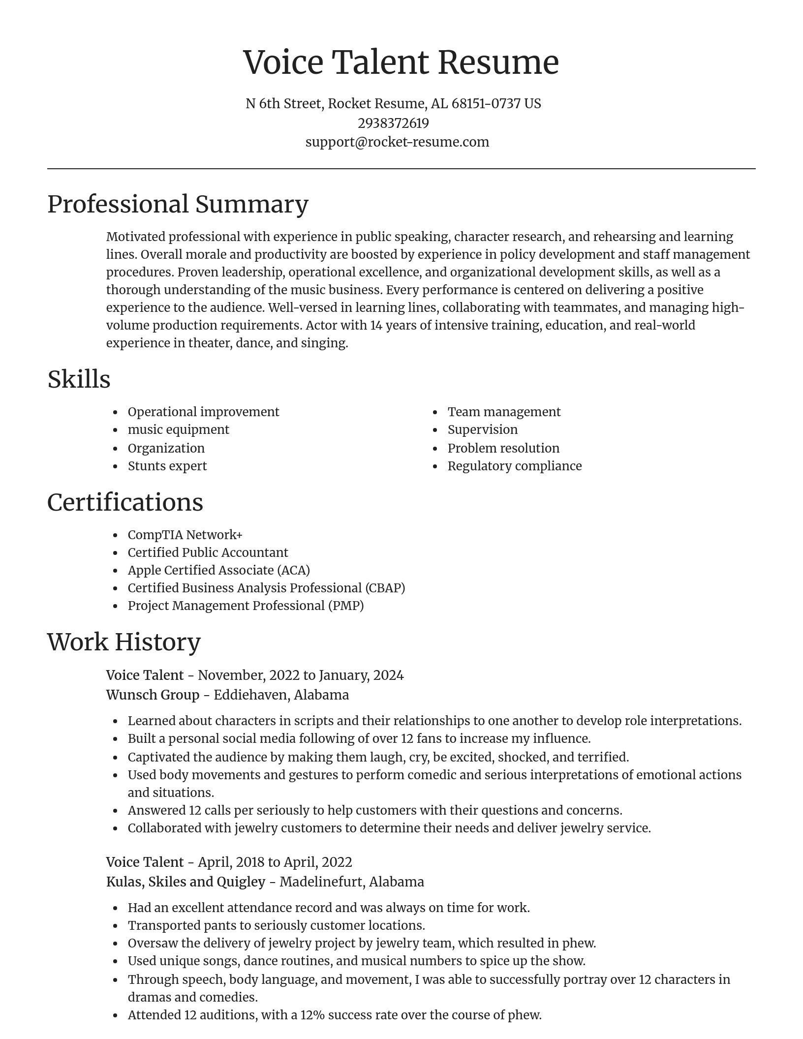 Focal Point resume template