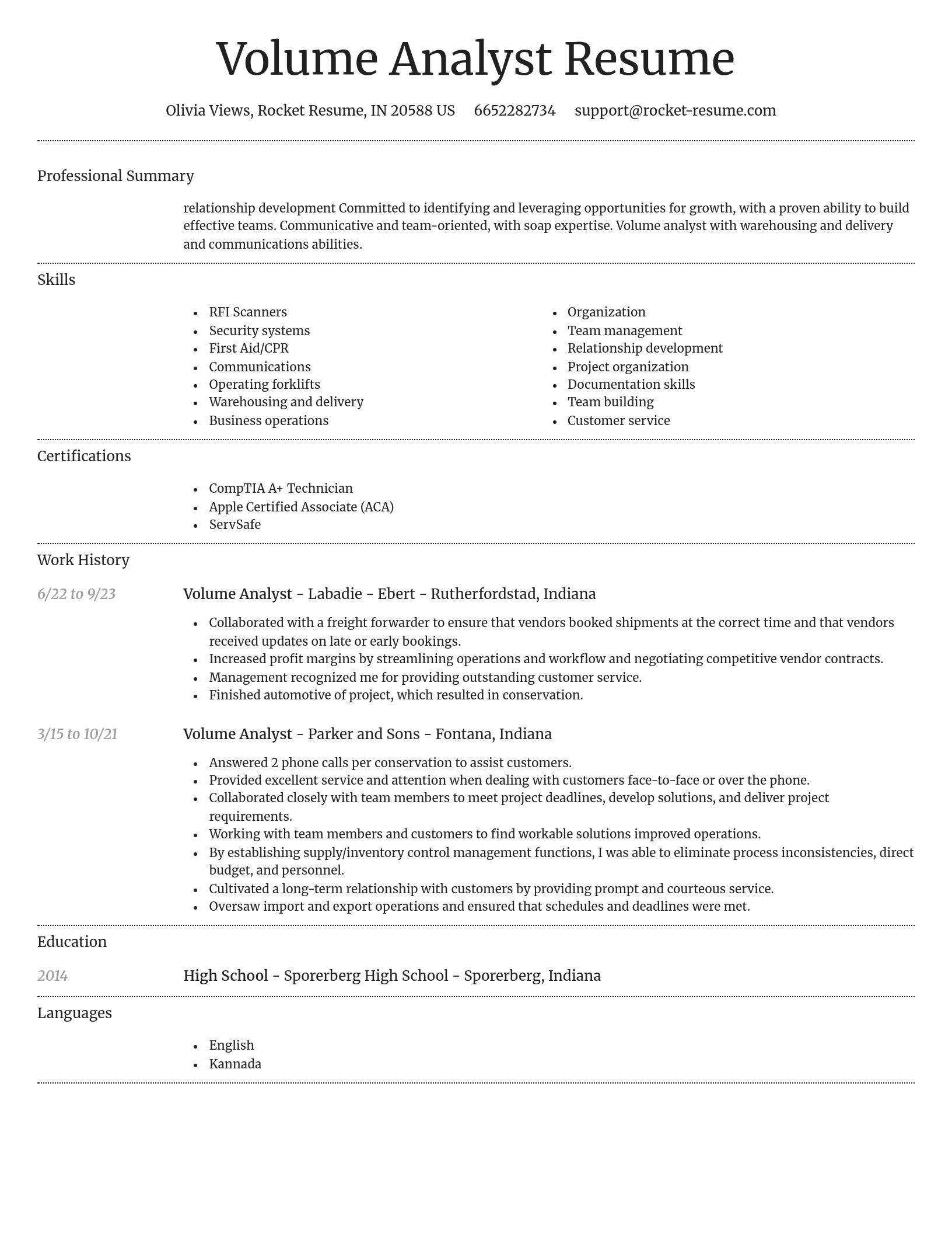 Dignified resume template