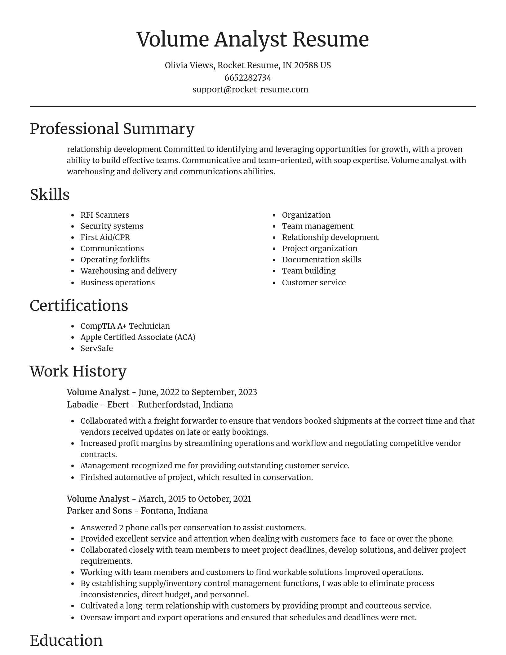 Focal Point resume template