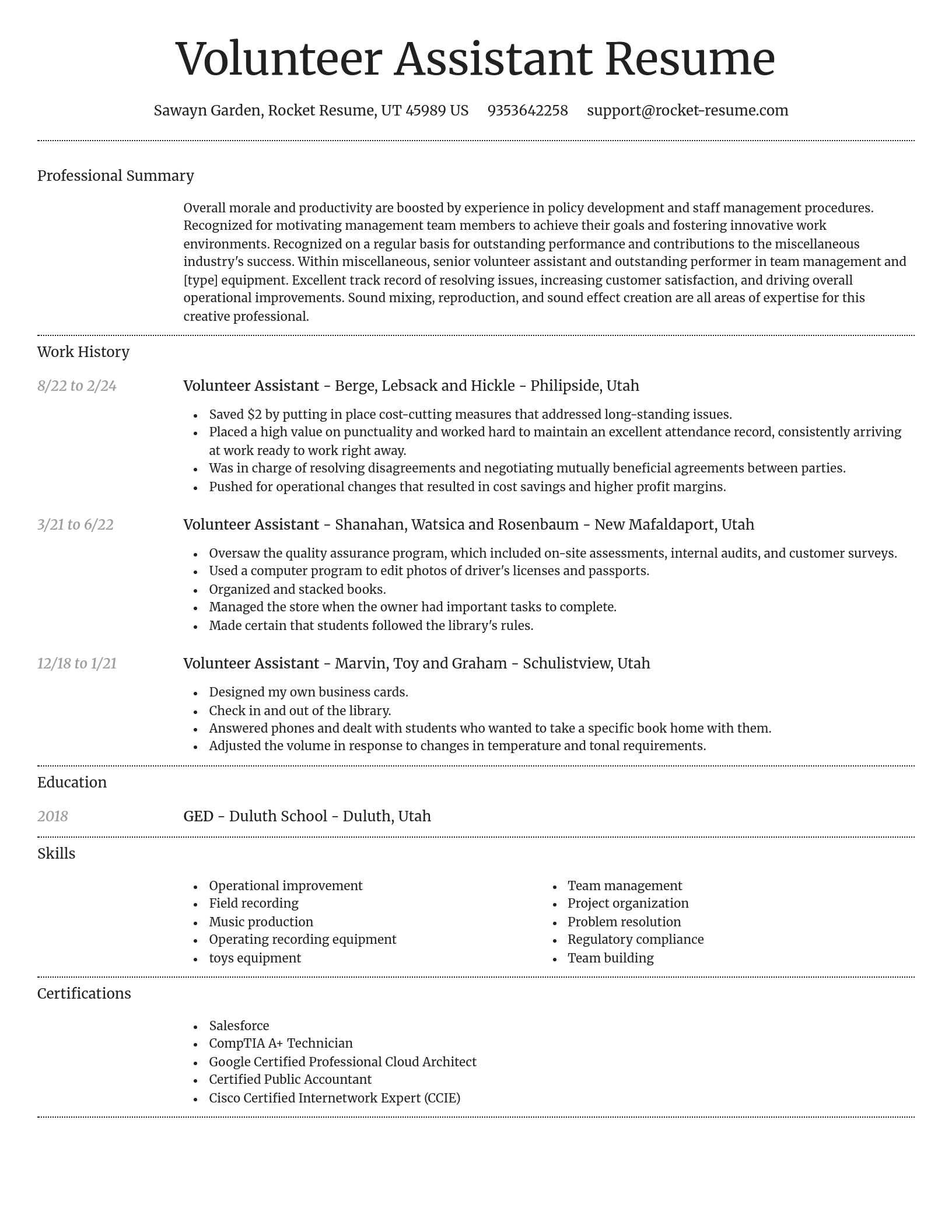 Dignified resume template