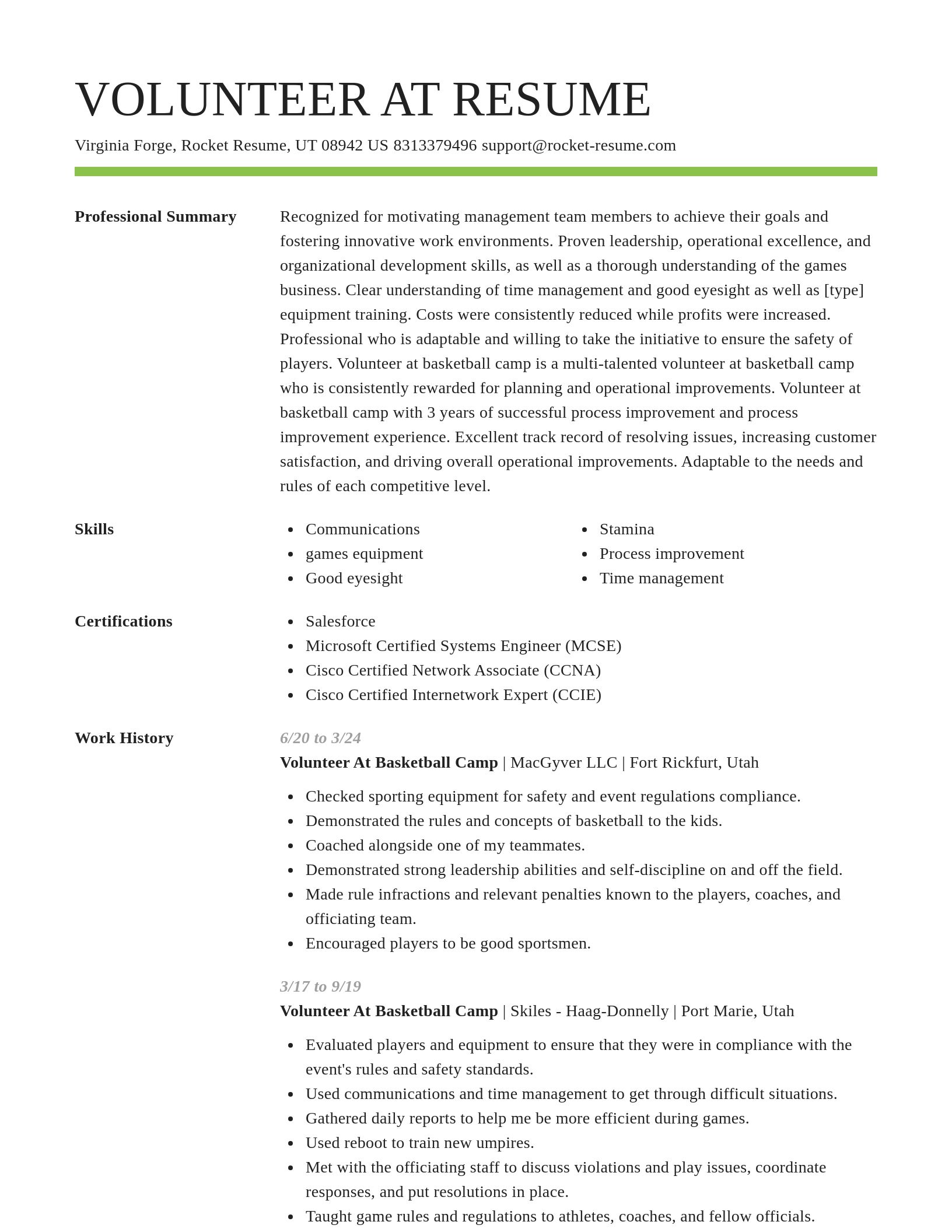 Smart resume template