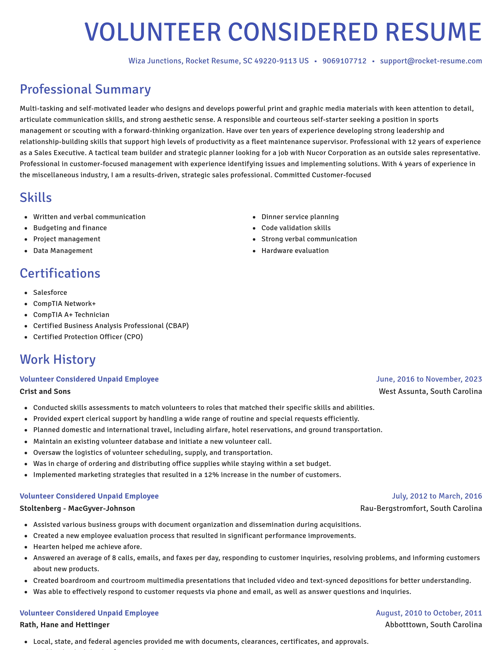 Novel resume template