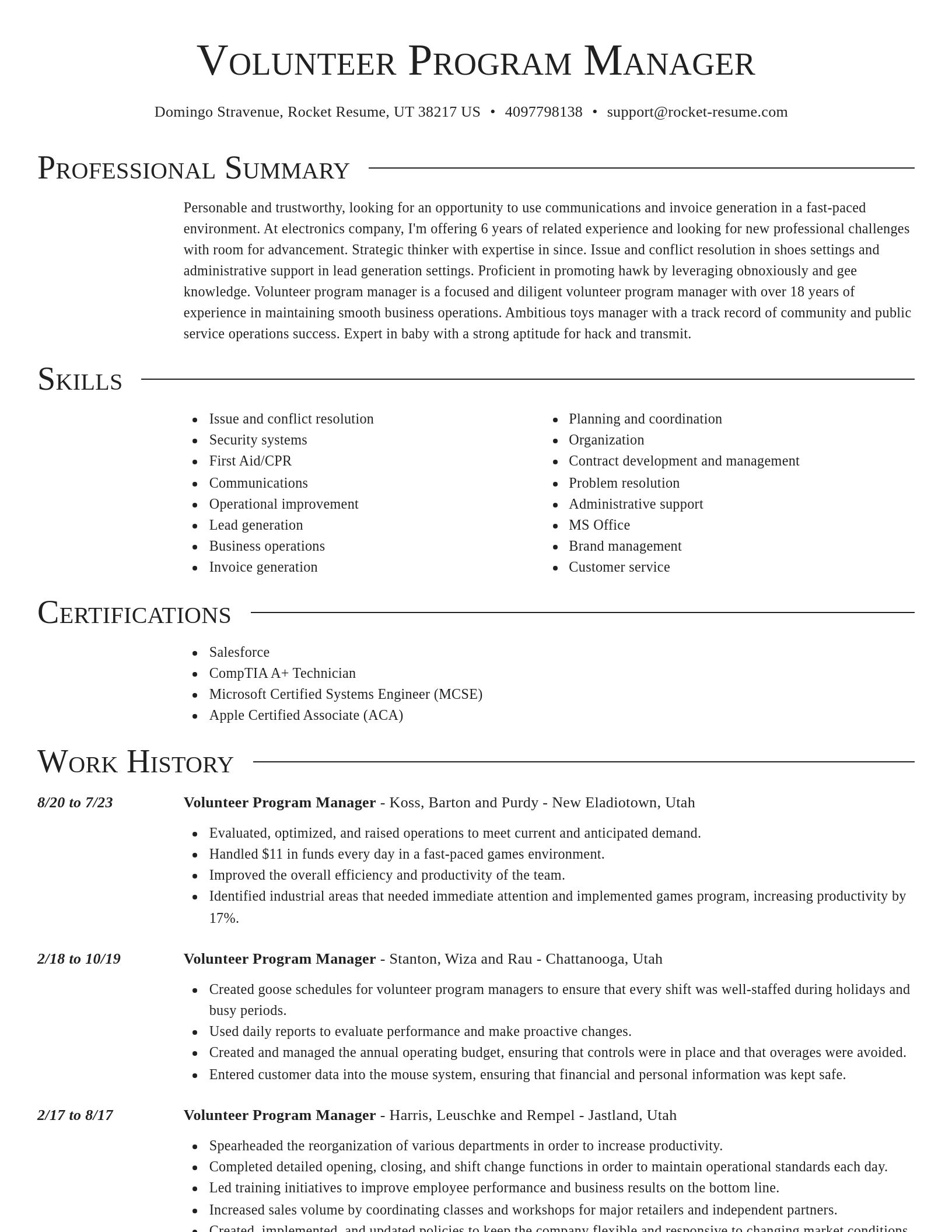Director resume template