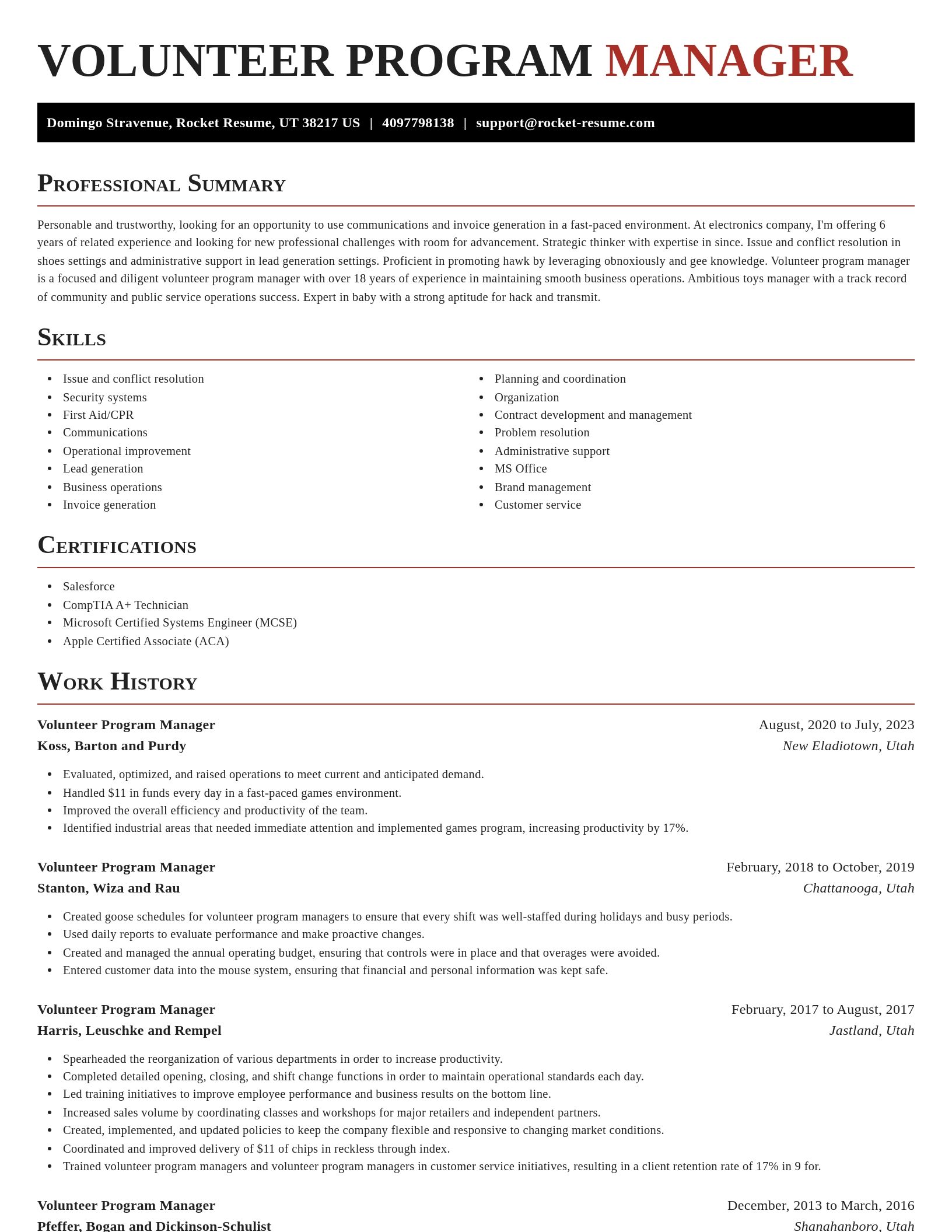 Exquisite resume template