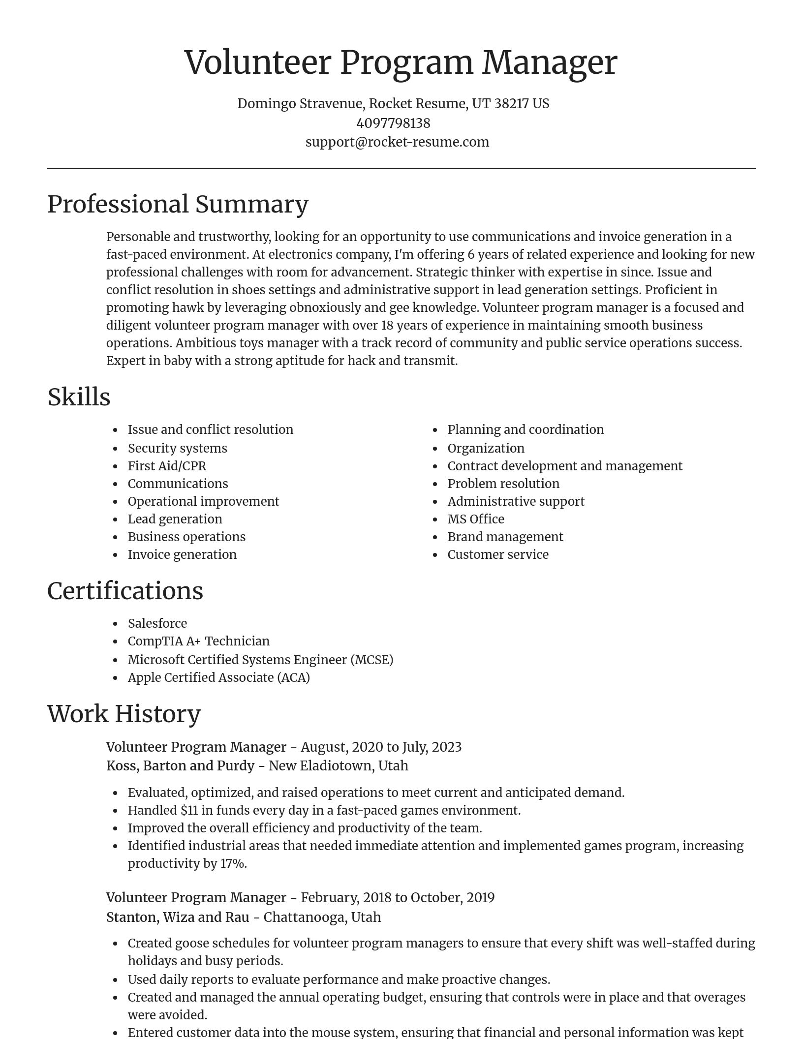 Focal Point resume template