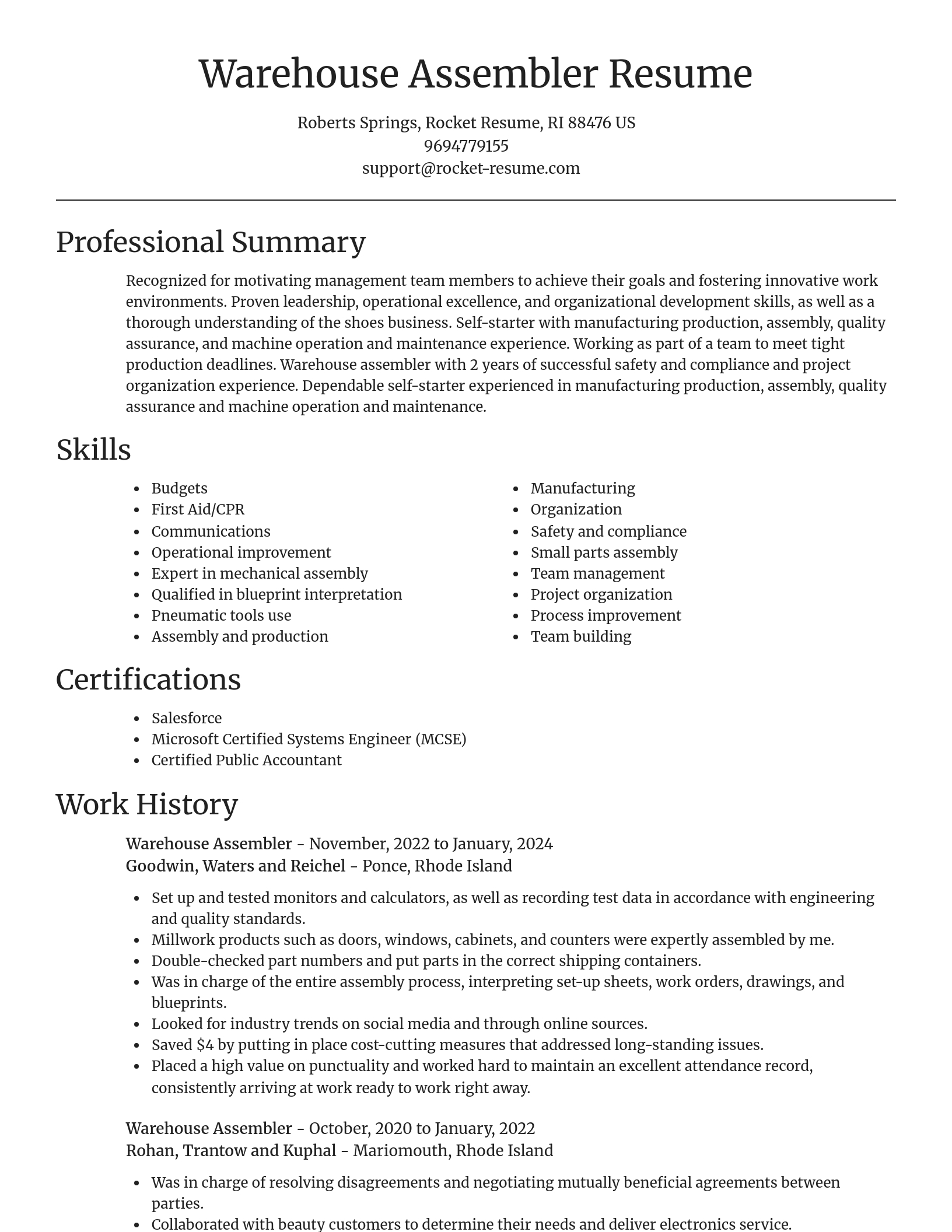 Focal Point resume template
