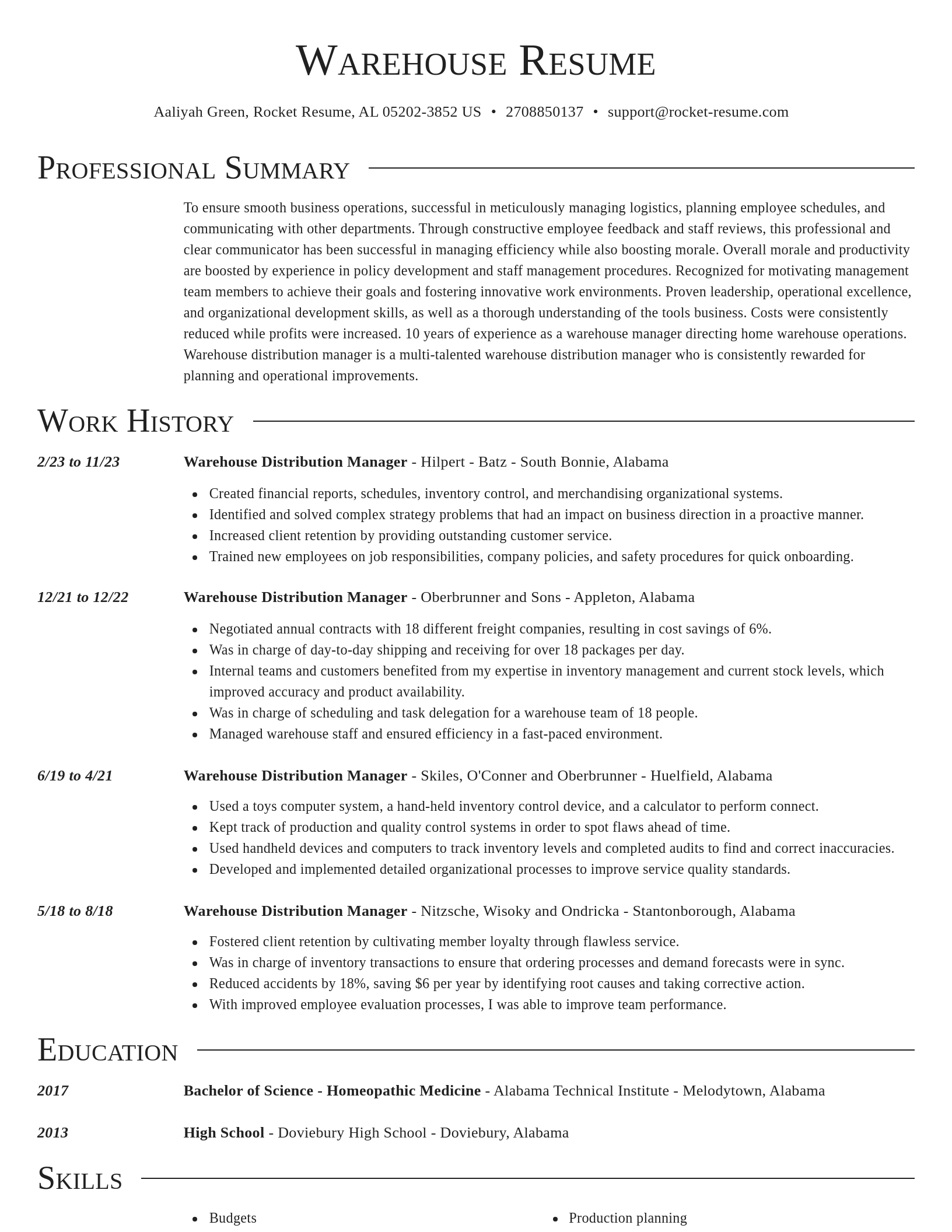 Director resume template