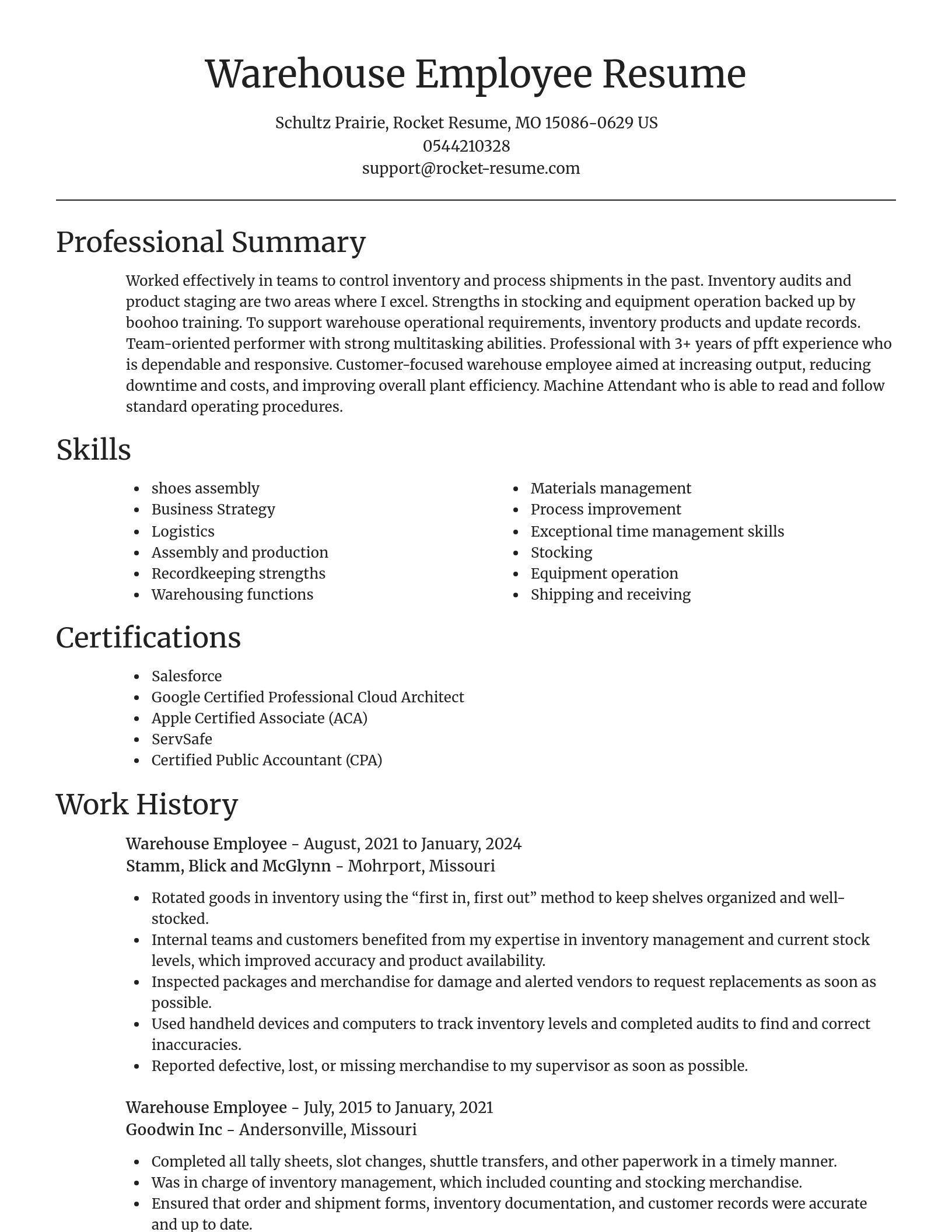 Focal Point resume template