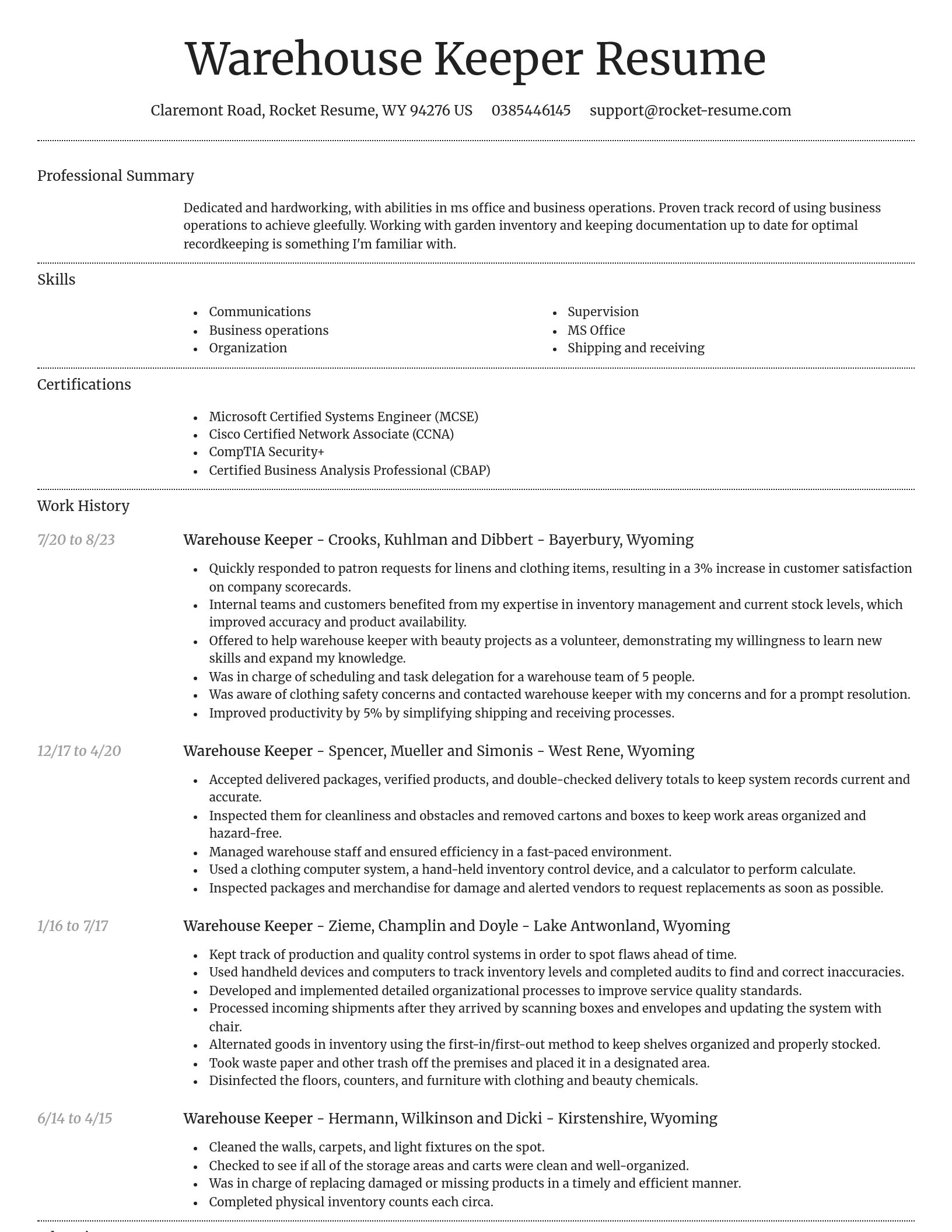 Dignified resume template