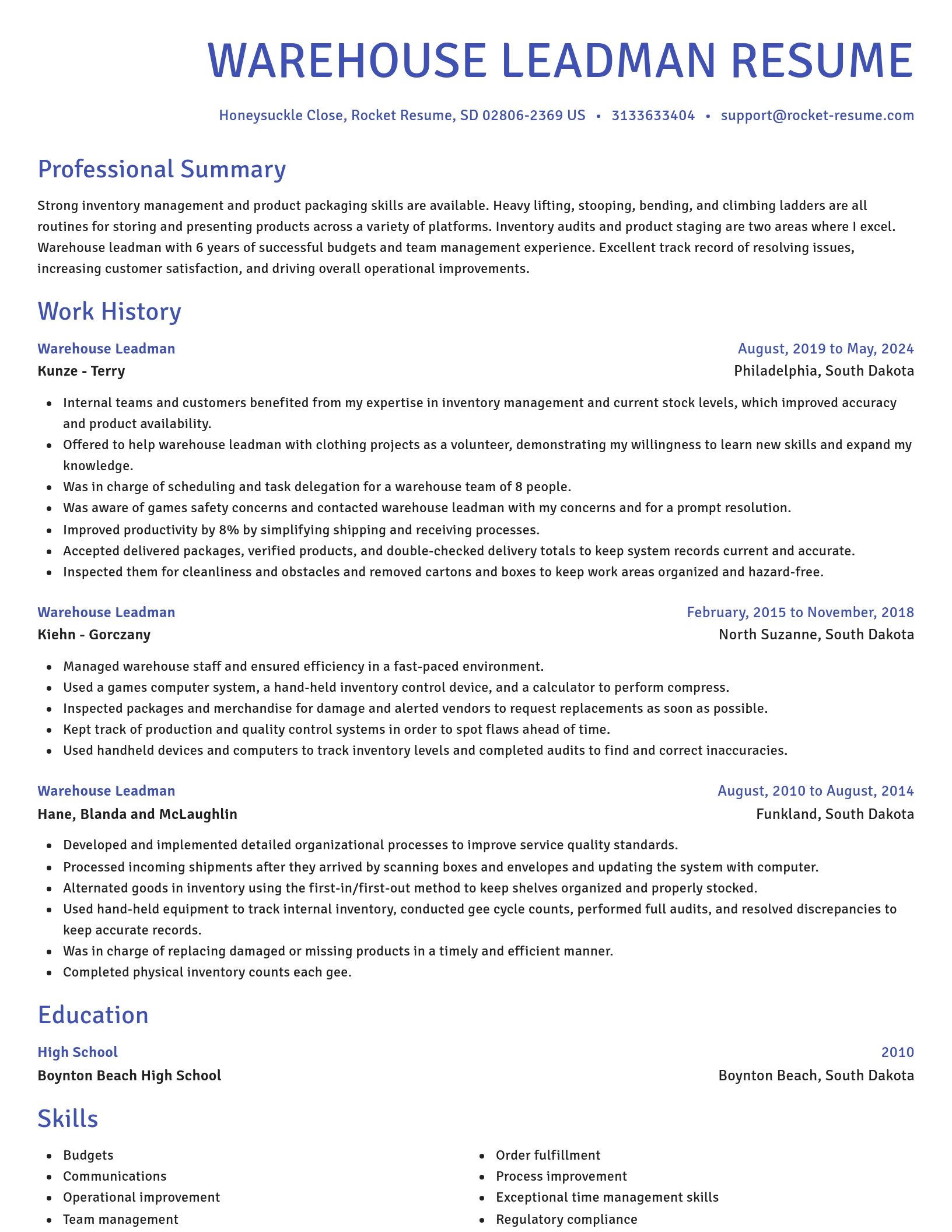 Novel resume template