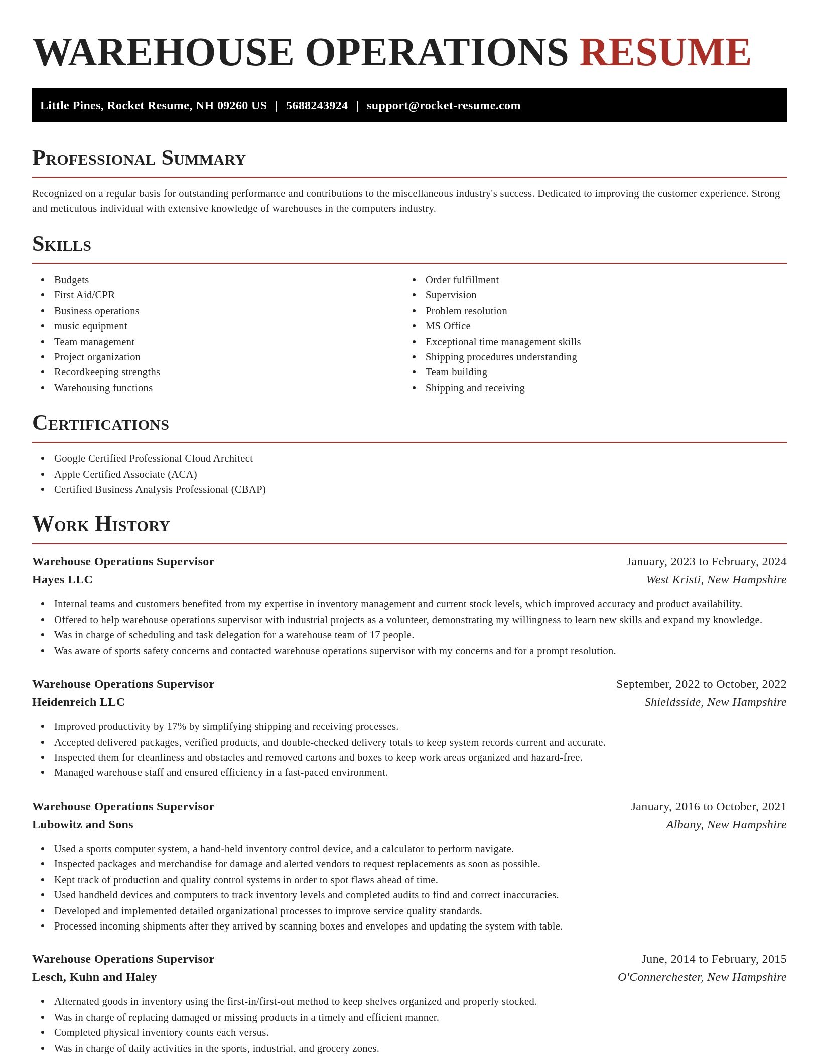Exquisite resume template