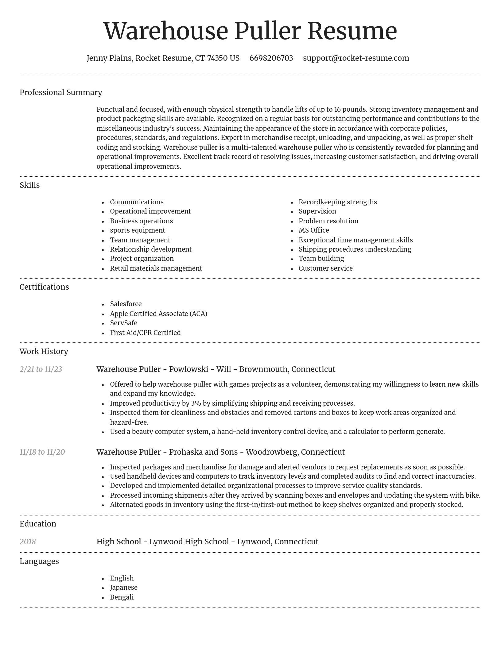 Dignified resume template