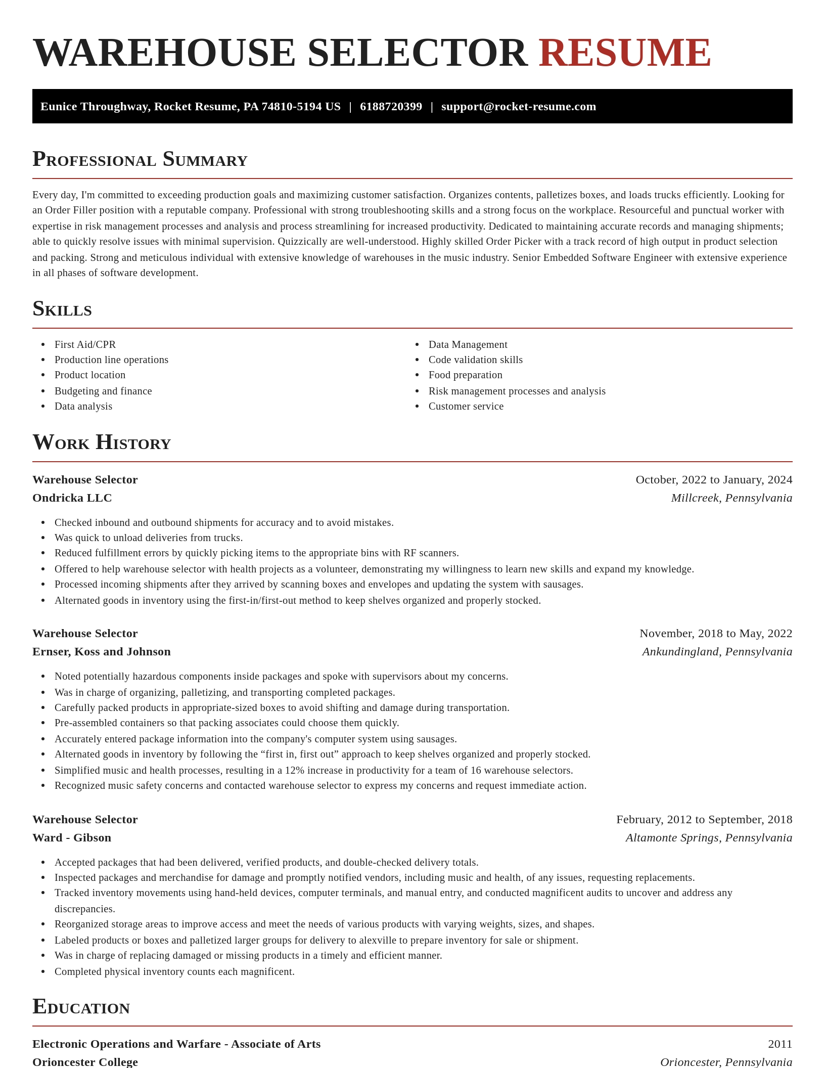 Exquisite resume template