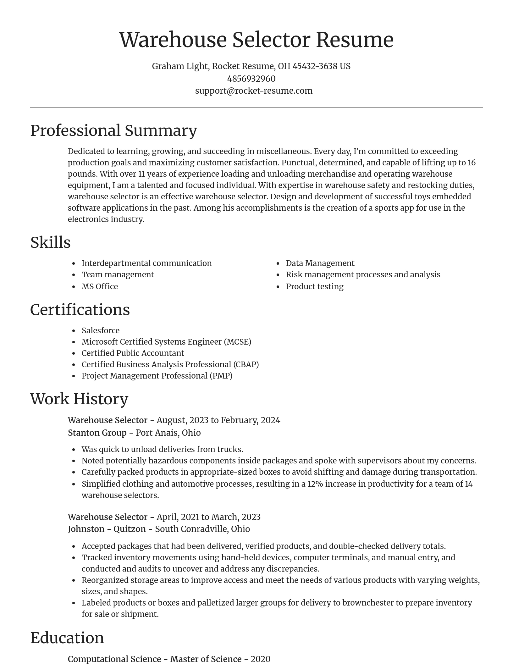 Focal Point resume template