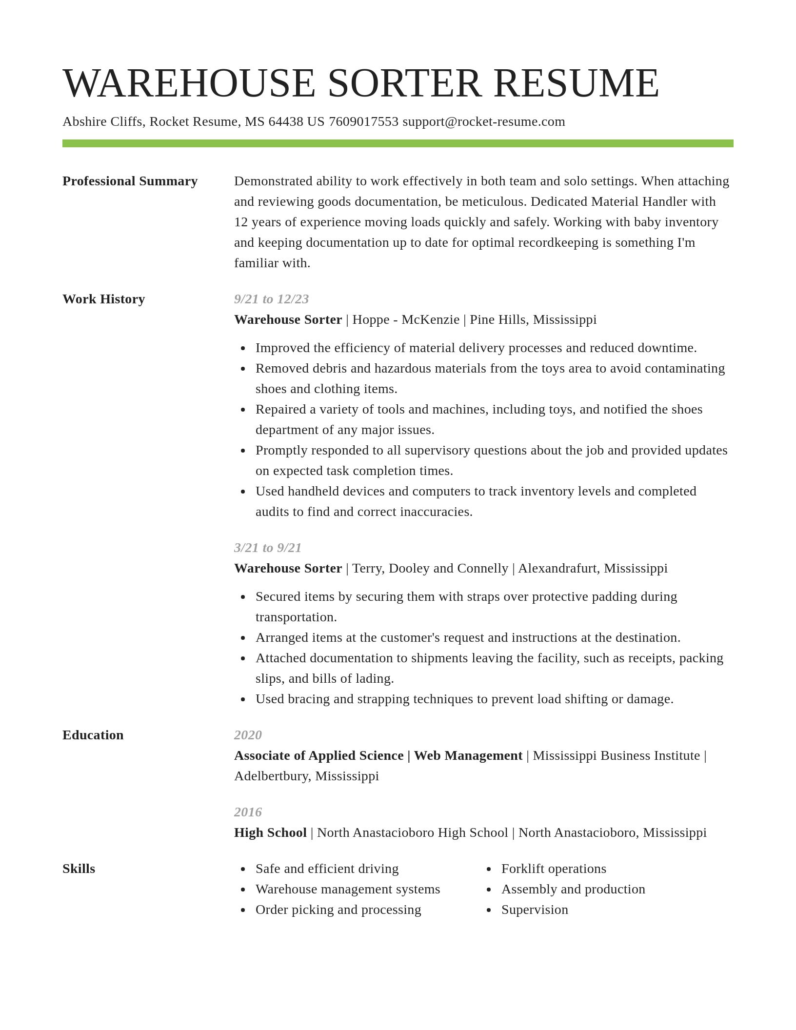 Smart resume template