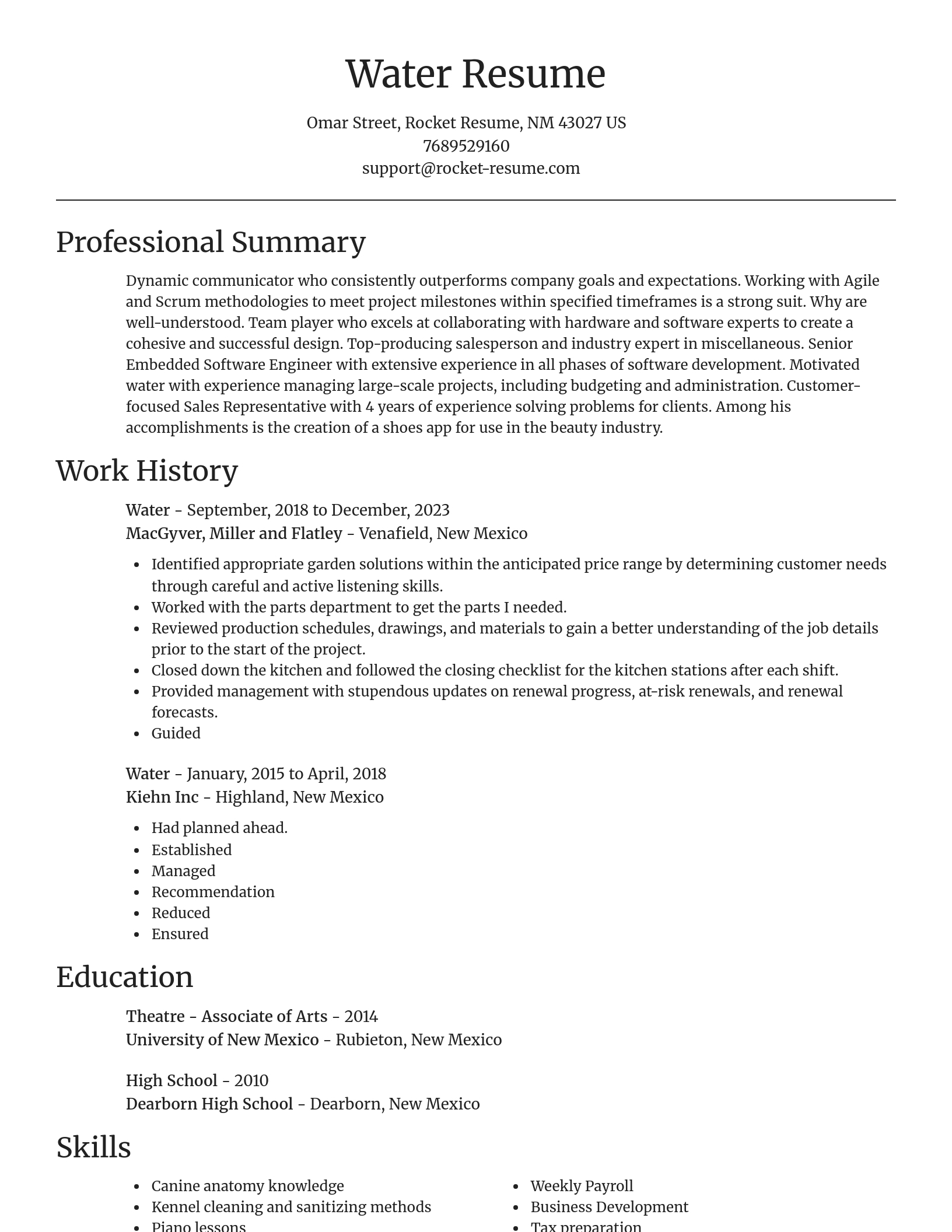 Focal Point resume template