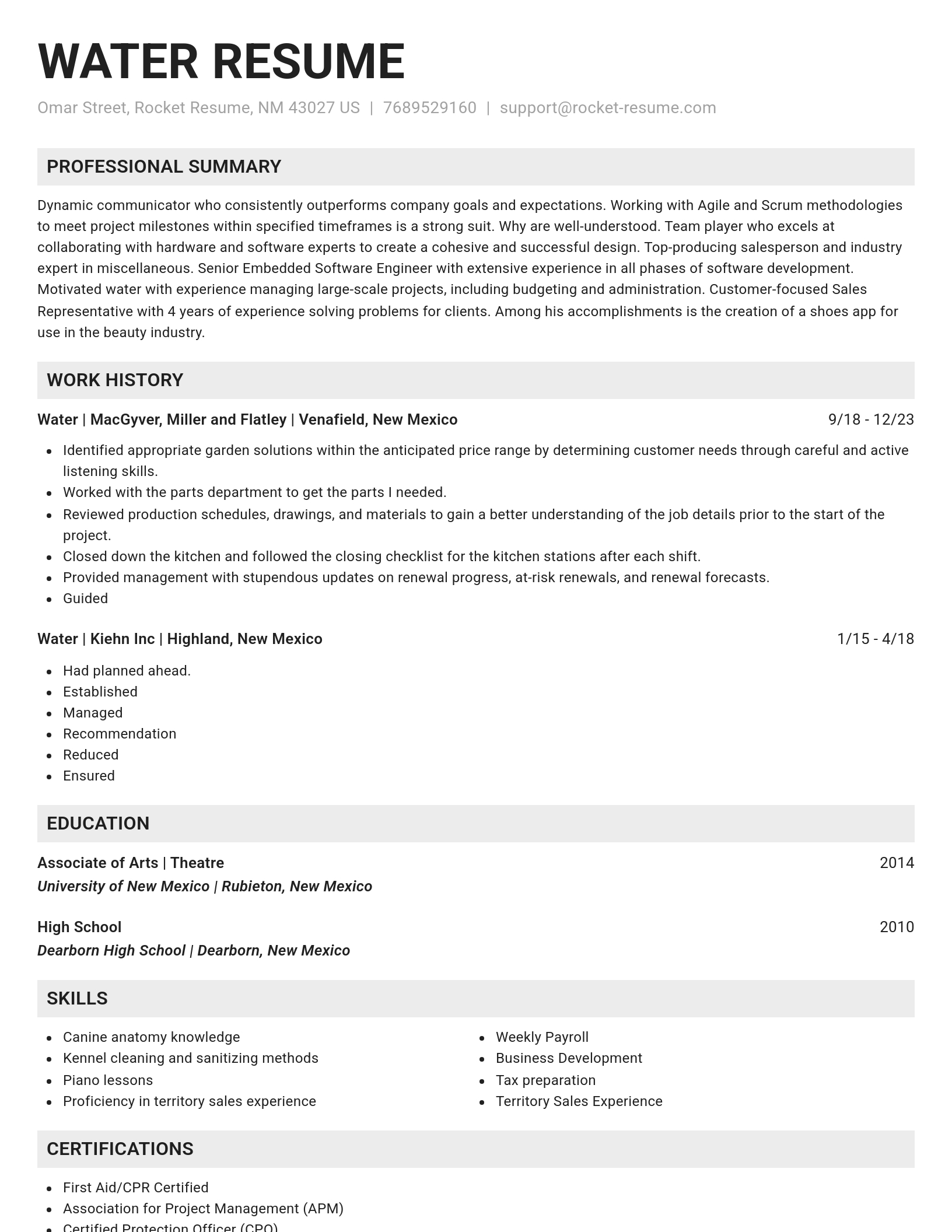 Genius resume template