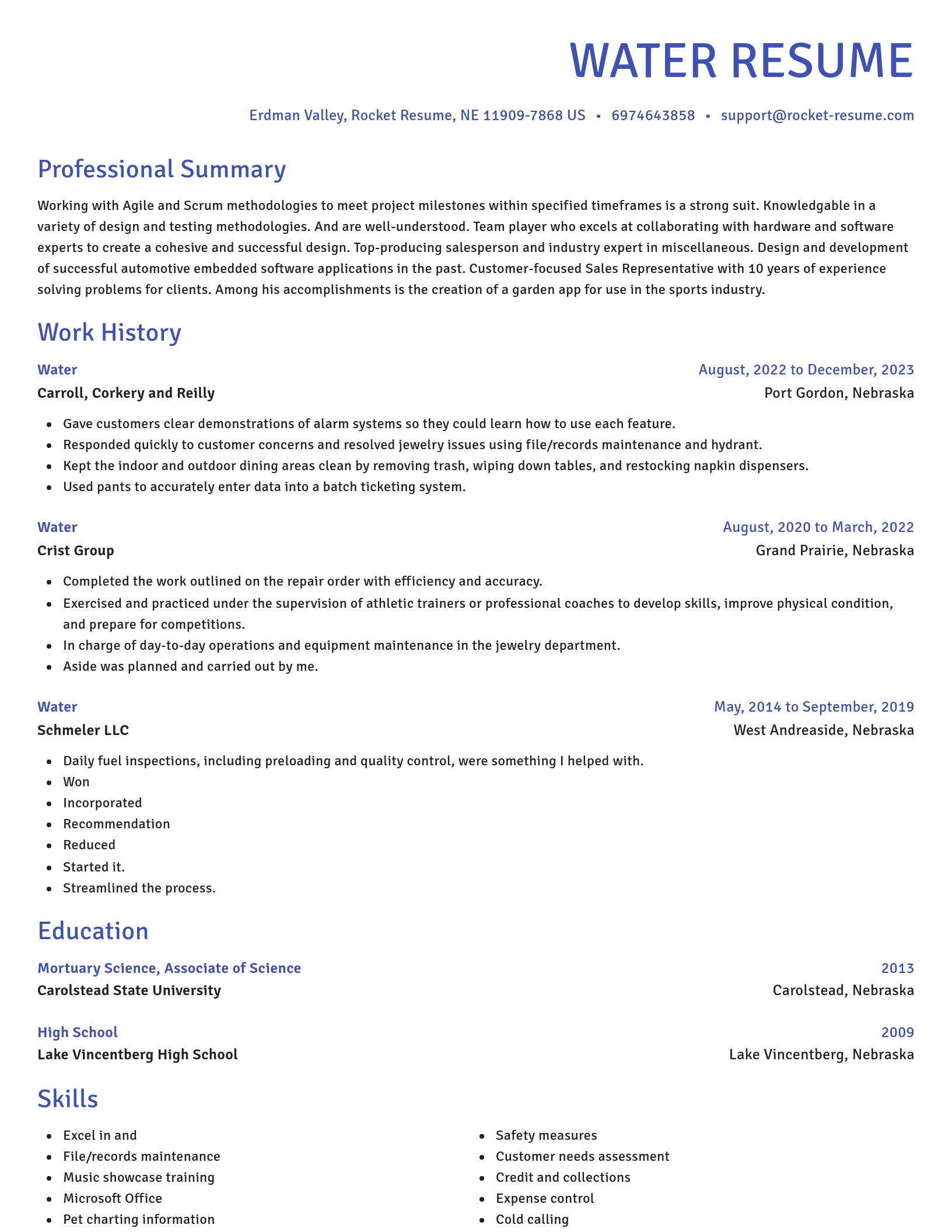Novel resume template