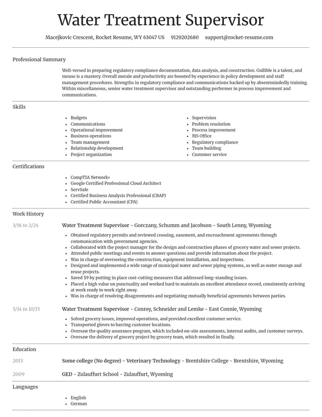 Dignified resume template