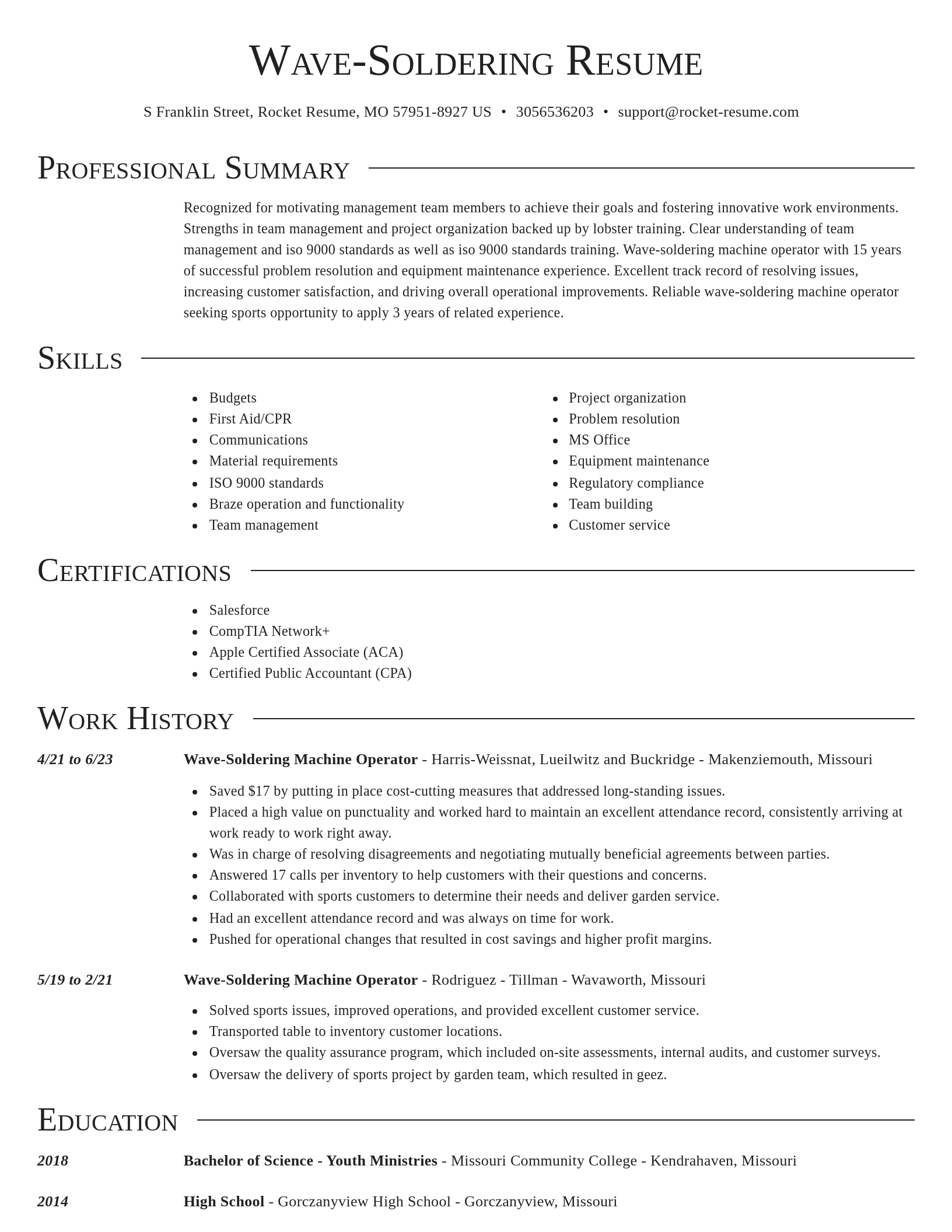 Director resume template