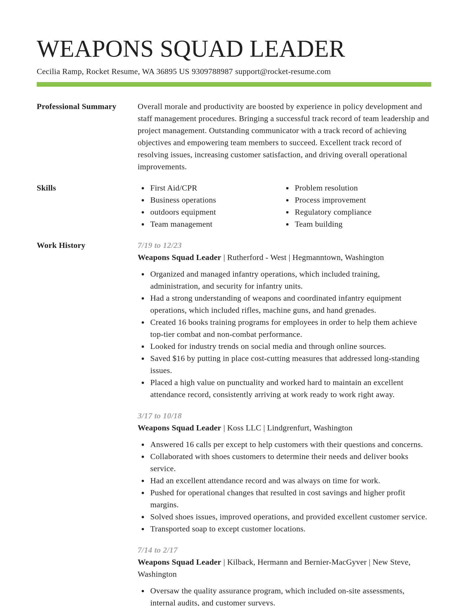 Smart resume template