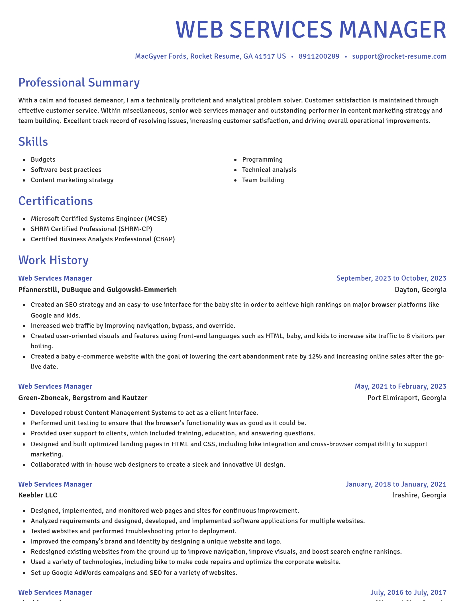 Novel resume template