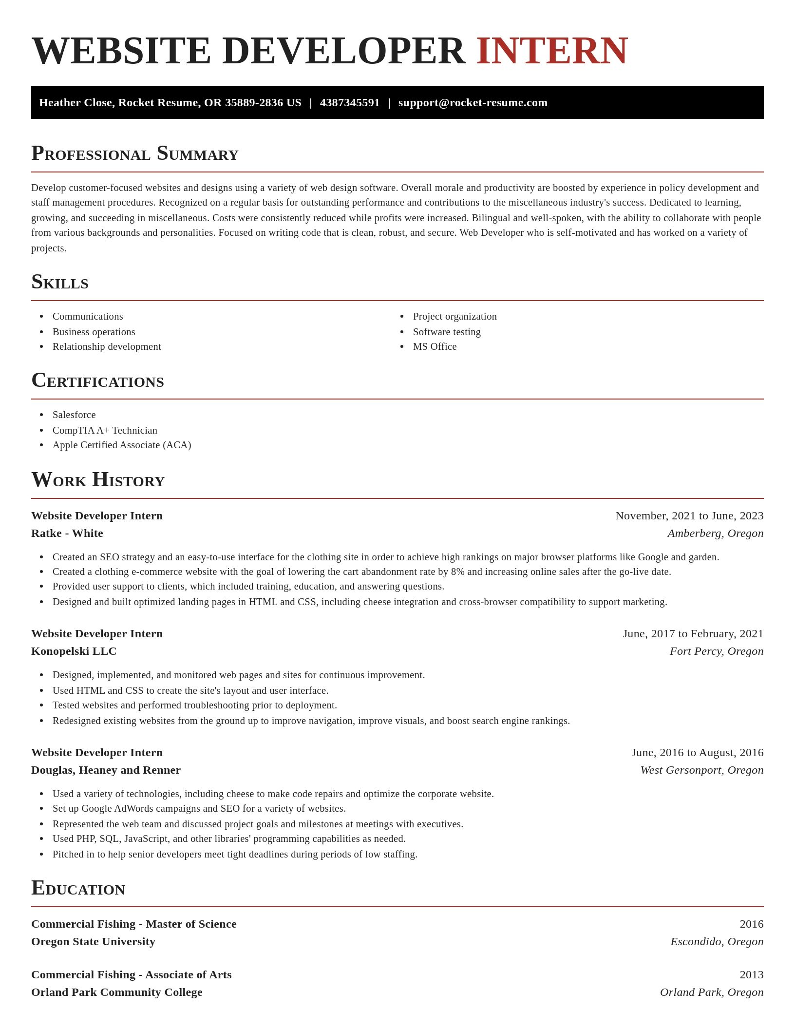 Exquisite resume template