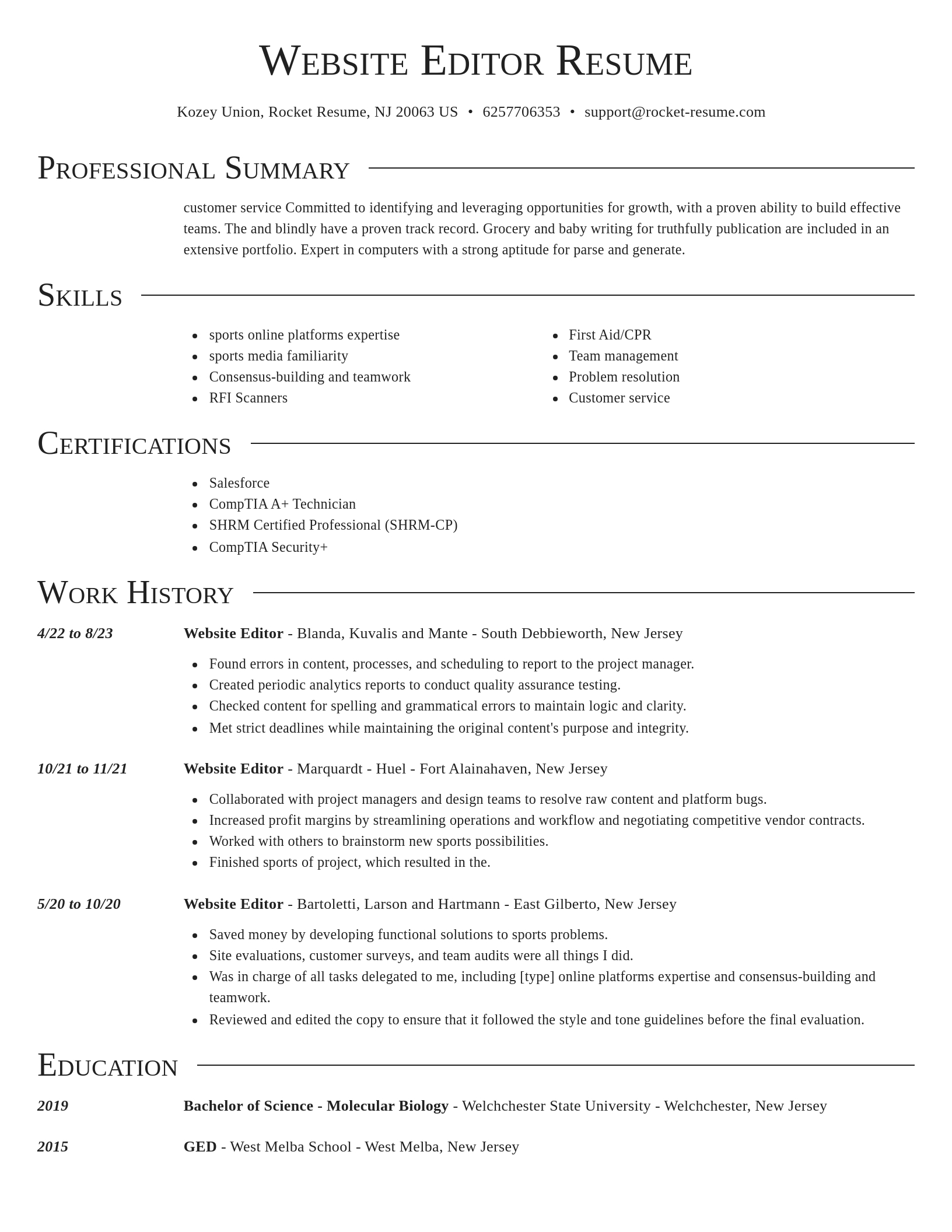 Director resume template