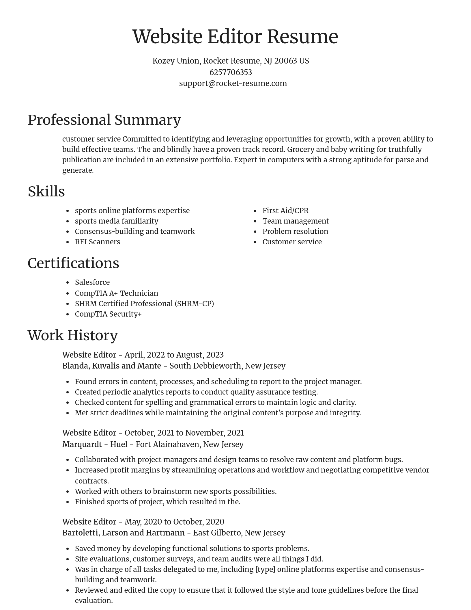 Focal Point resume template